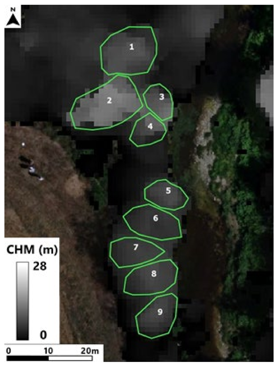 Forests 12 01566 g005