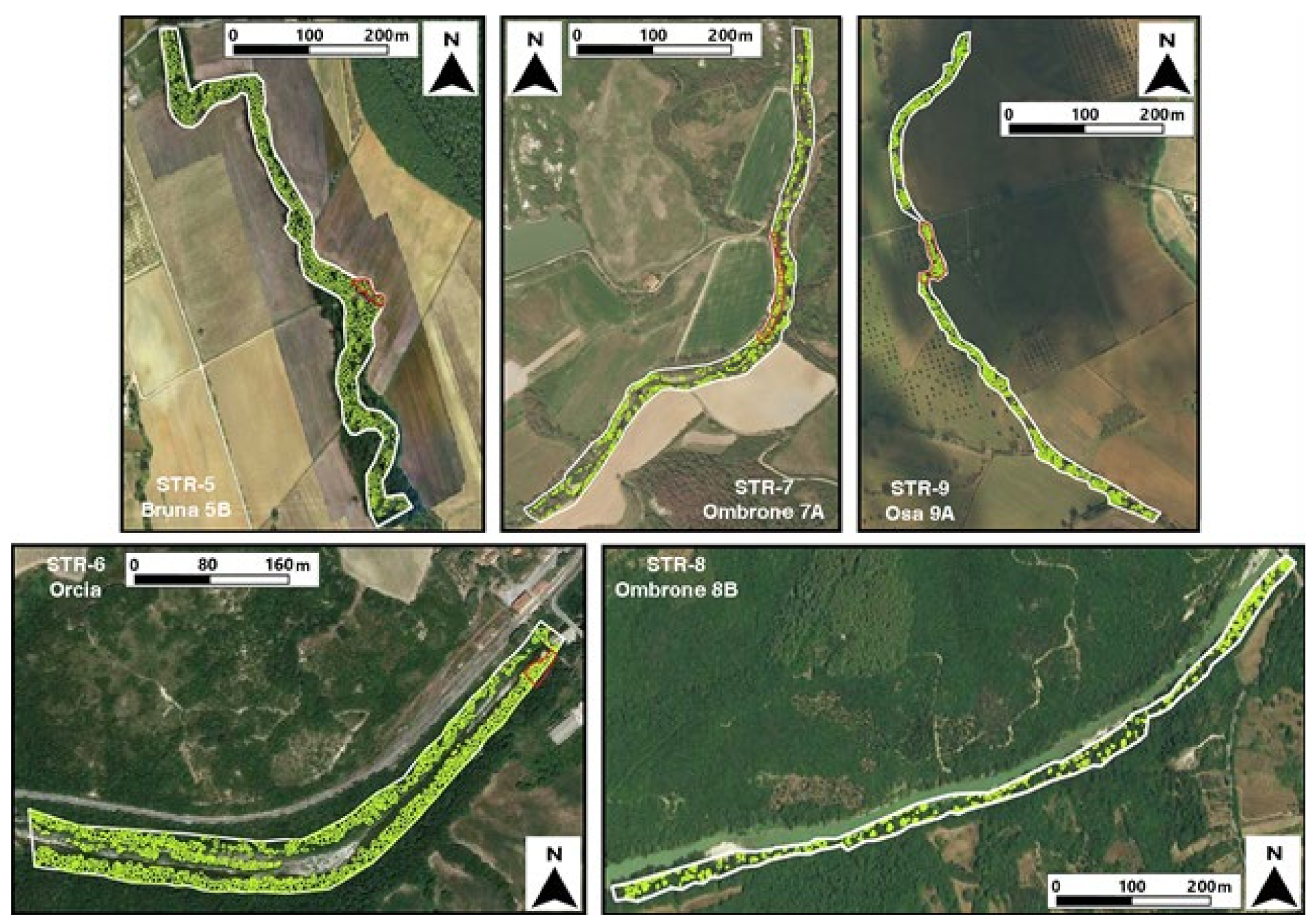 Forests 12 01566 g007