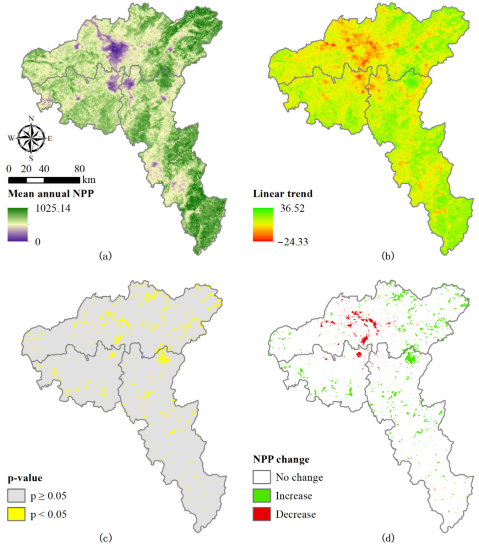 Forests 12 01573 g003 550