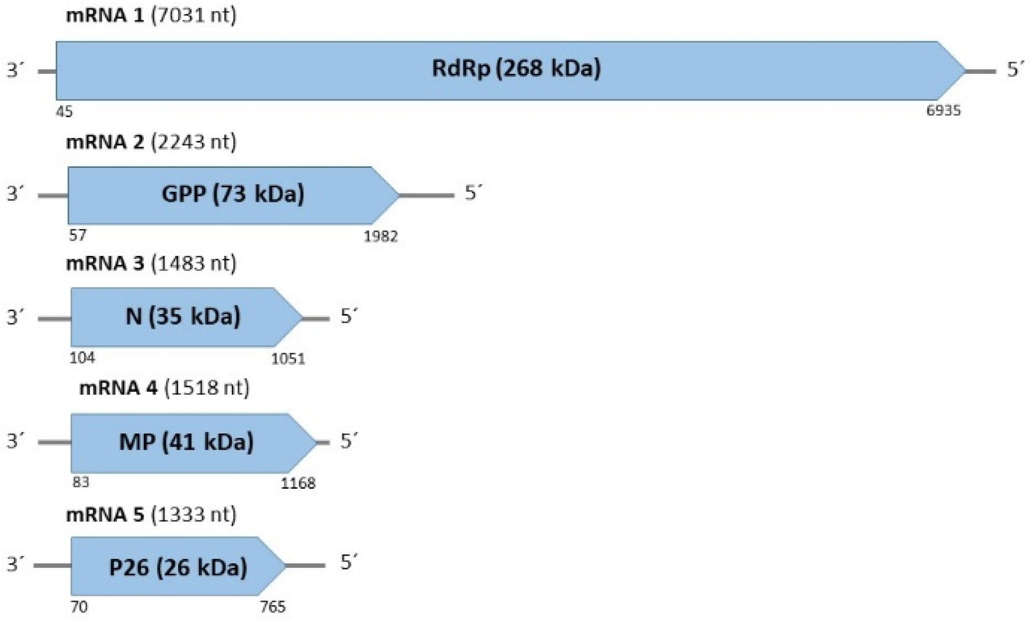 Forests 12 01574 g002