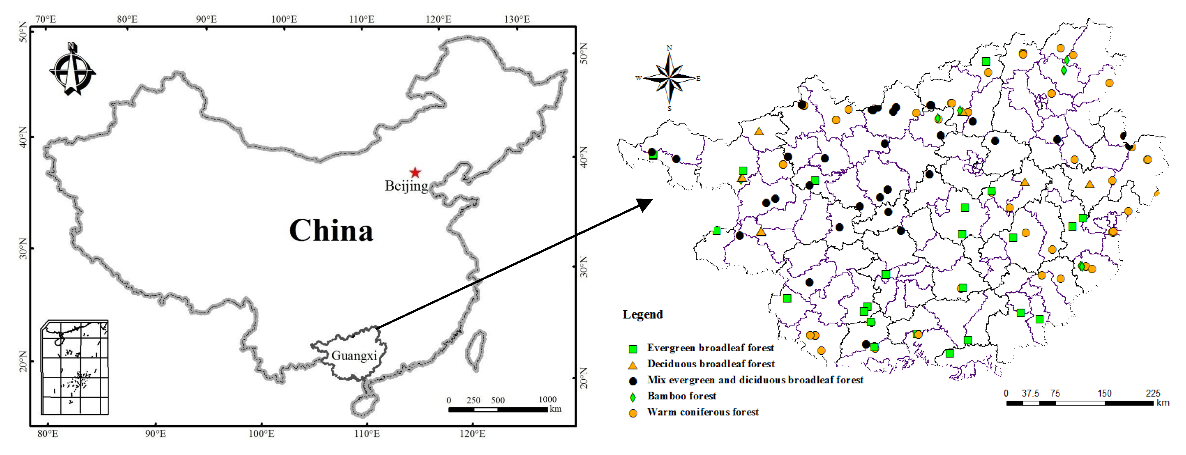 Forests 12 01578 g001 Forests 12 01578 g001