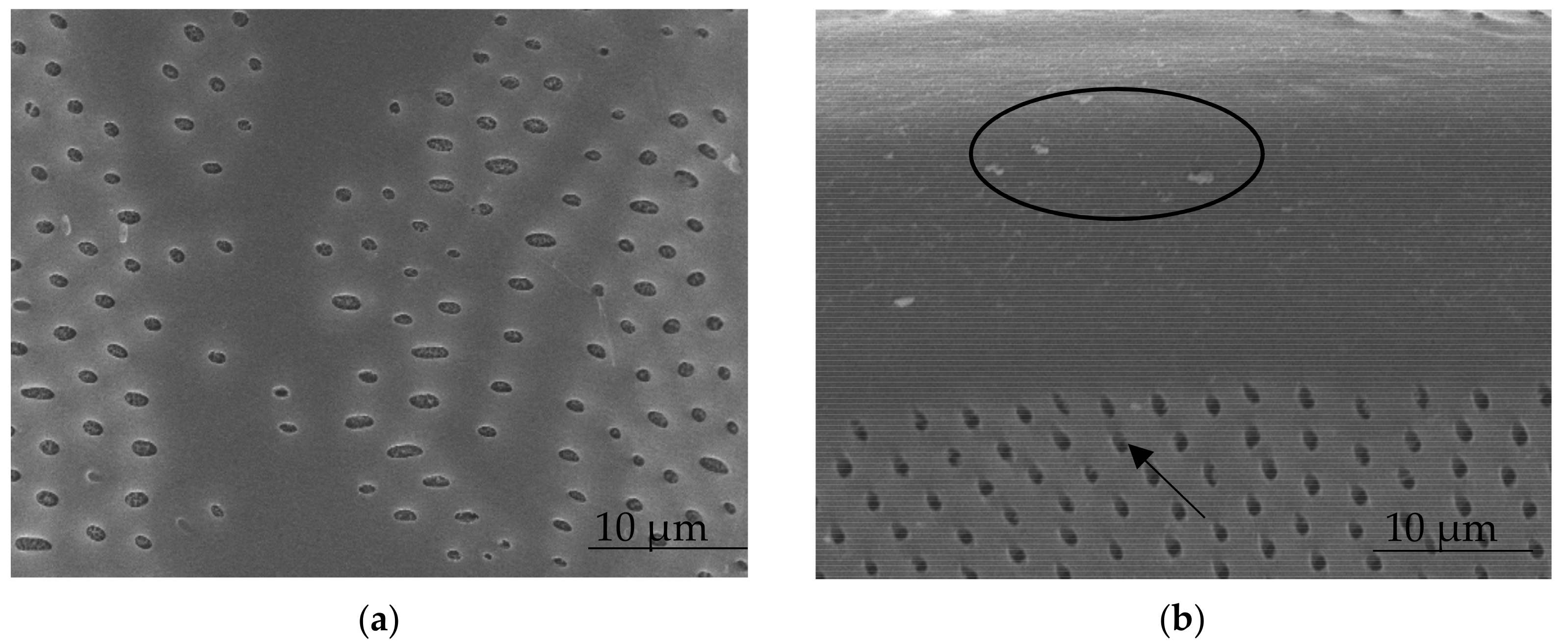 Forests 12 01581 g001 550