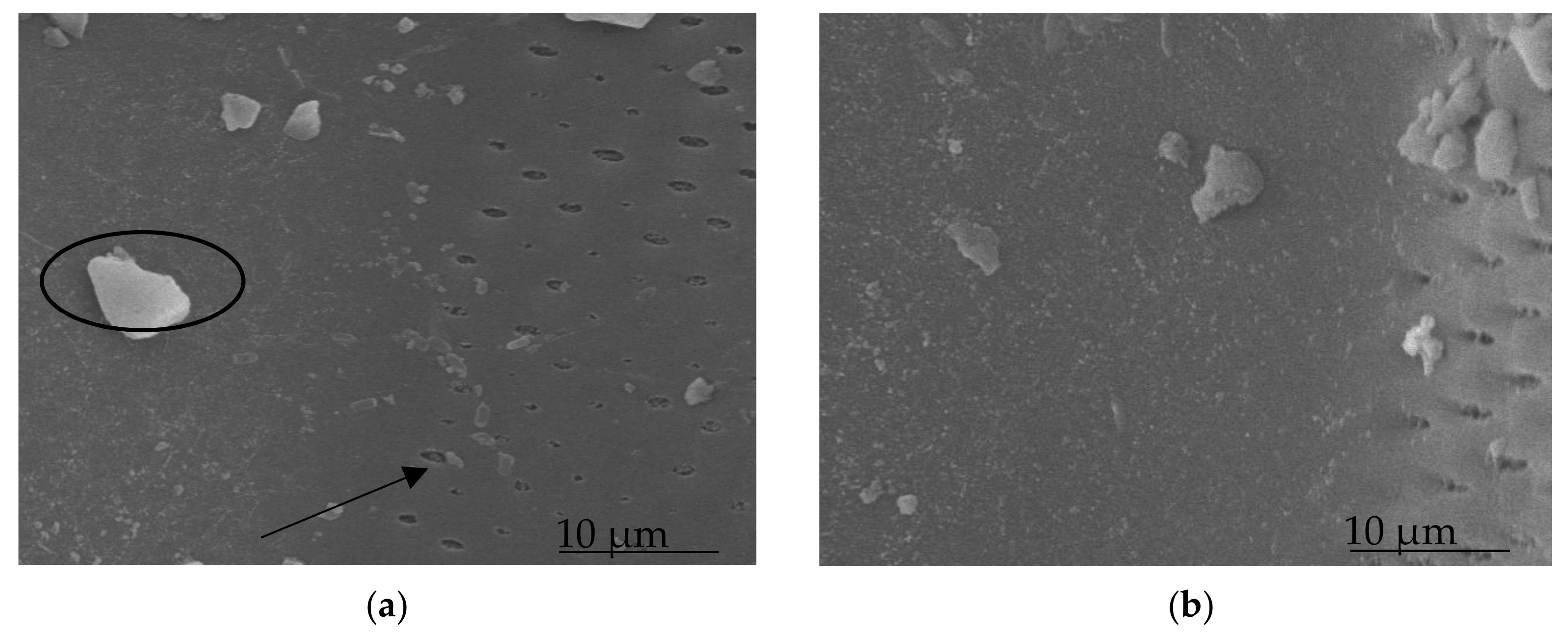 Forests 12 01581 g002 550