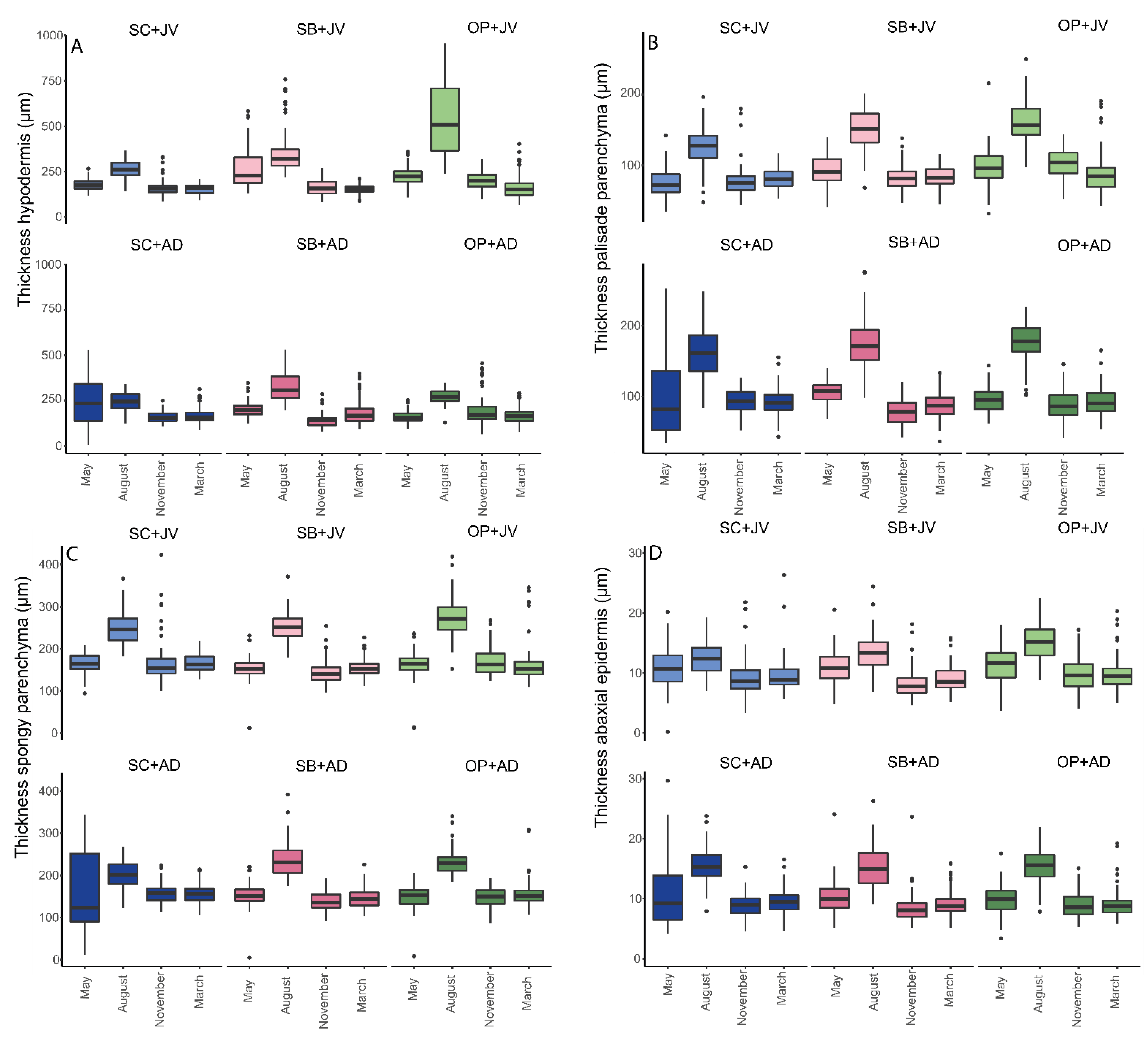 Forests 12 01586 g005