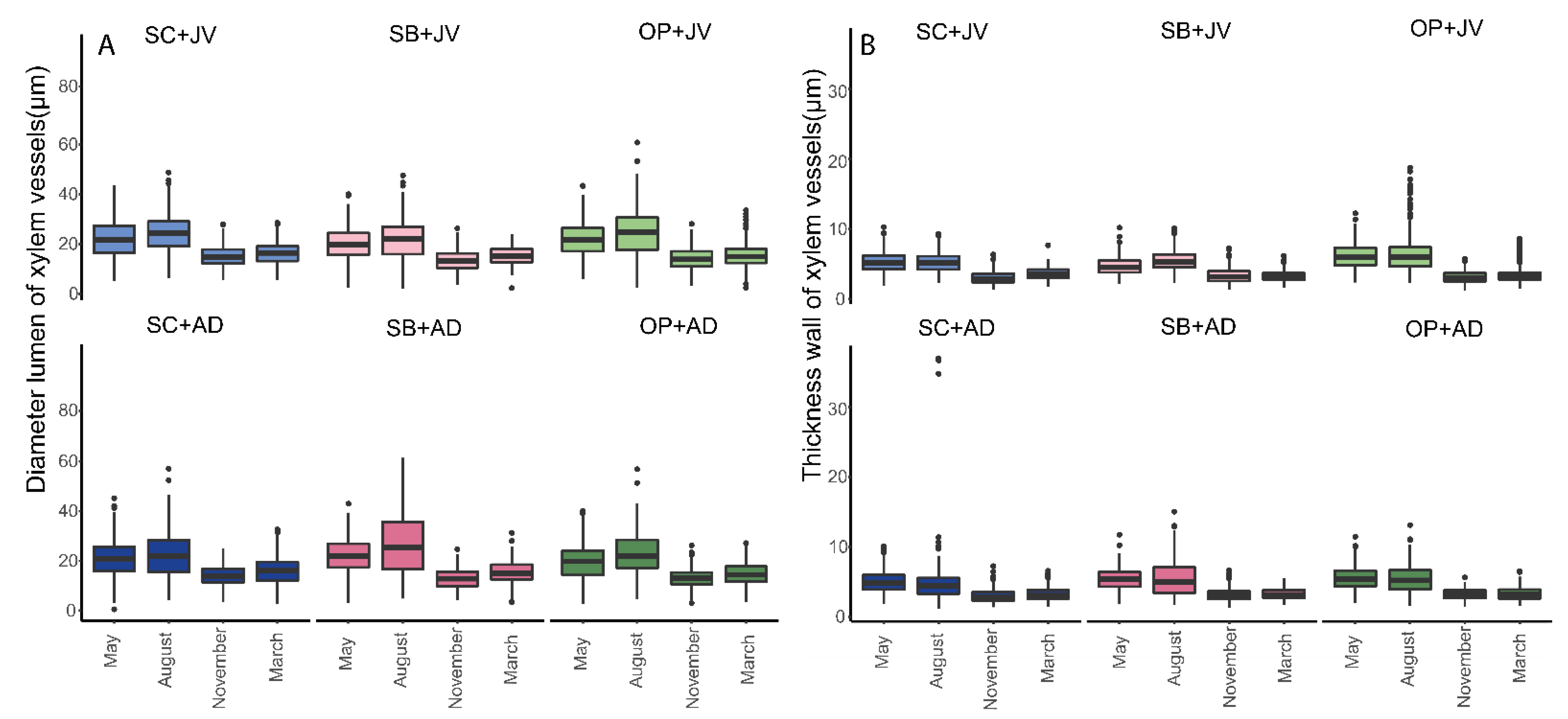 Forests 12 01586 g006
