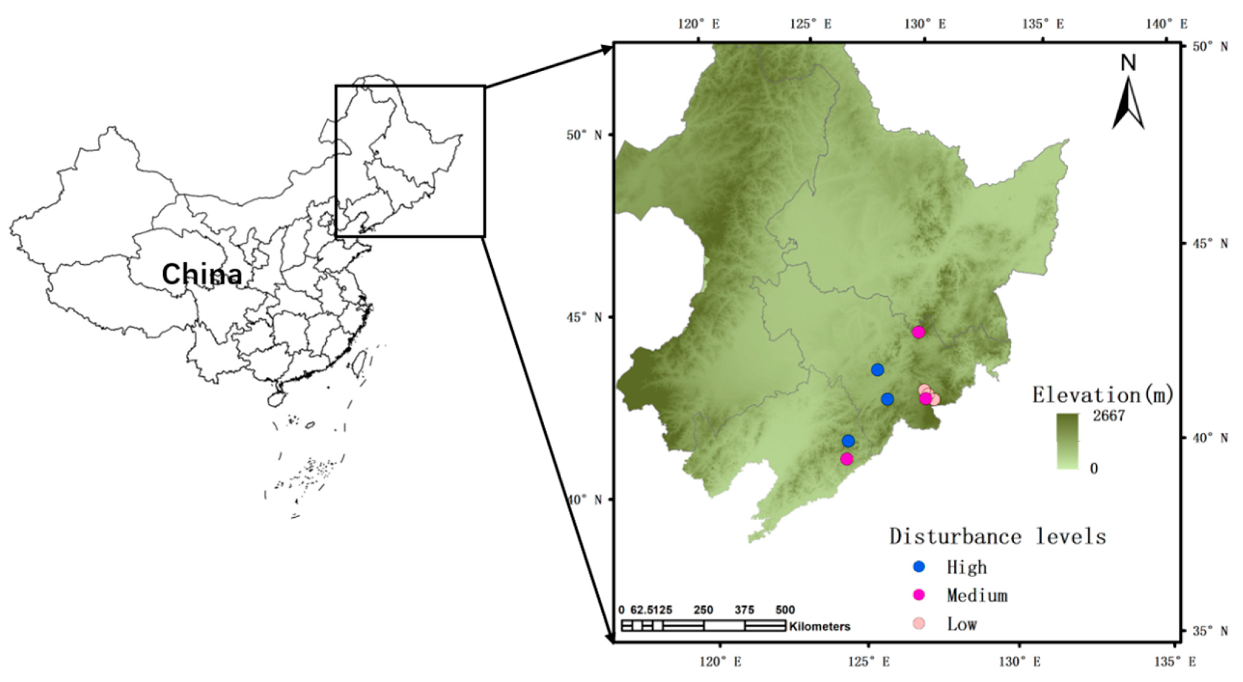 Forests 12 01588 g001