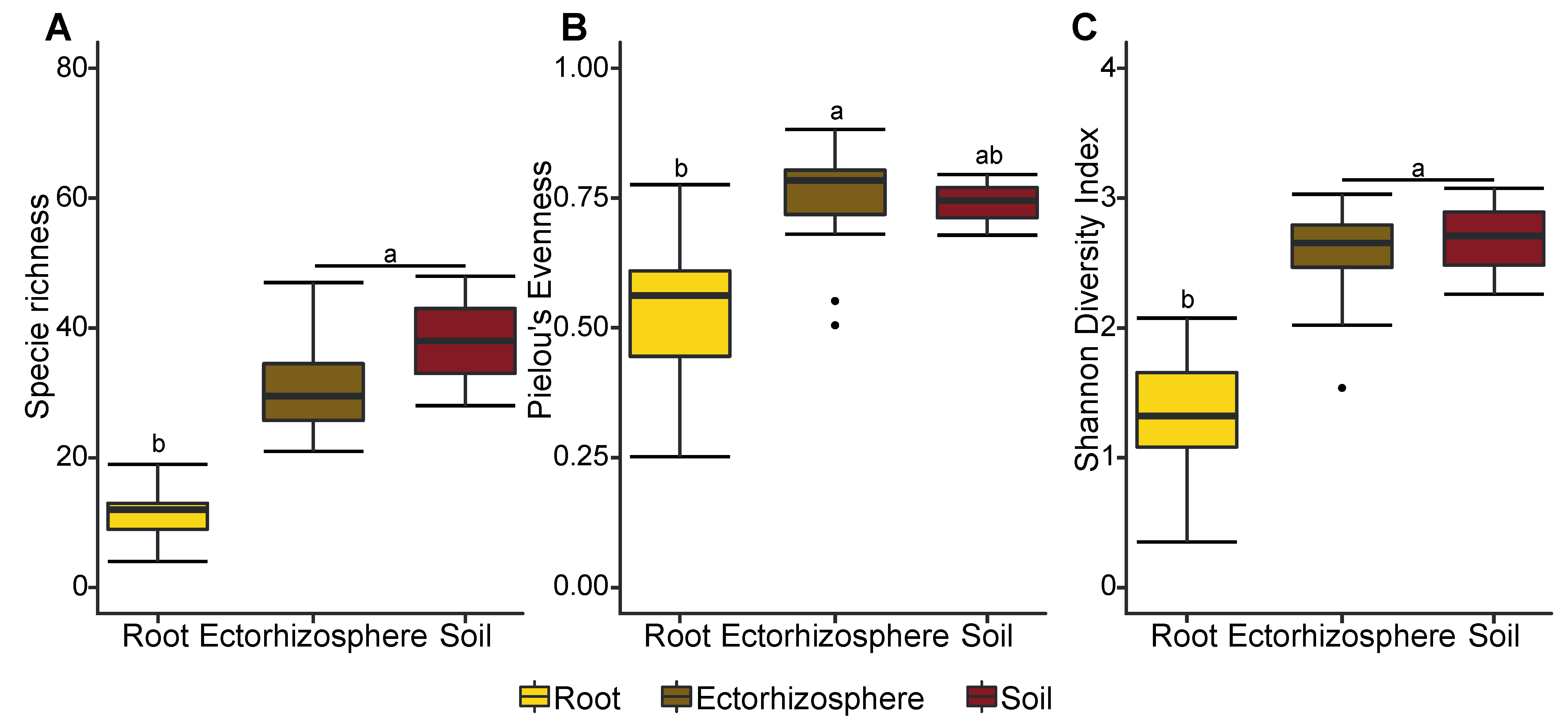 Forests 12 01589 g003 550