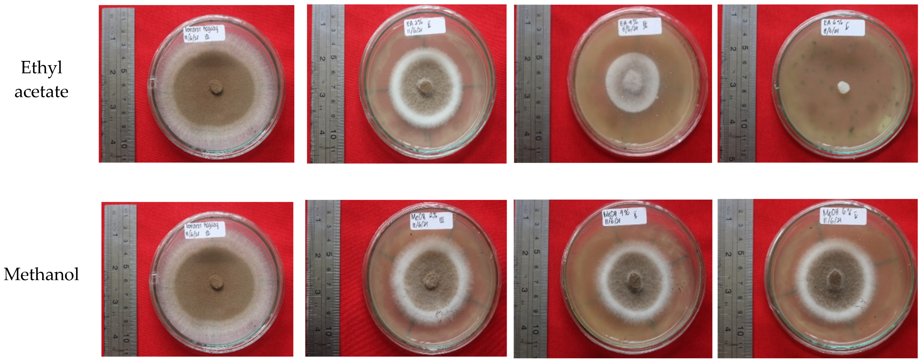 Forests 12 01591 g004a 550