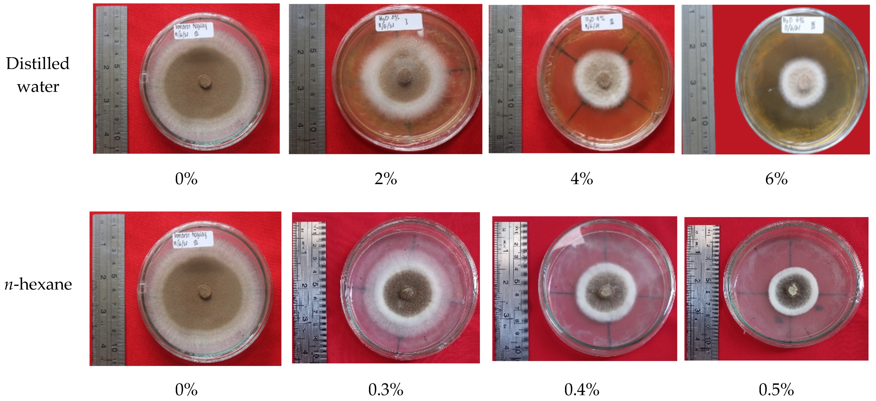 Forests 12 01591 g004b 550