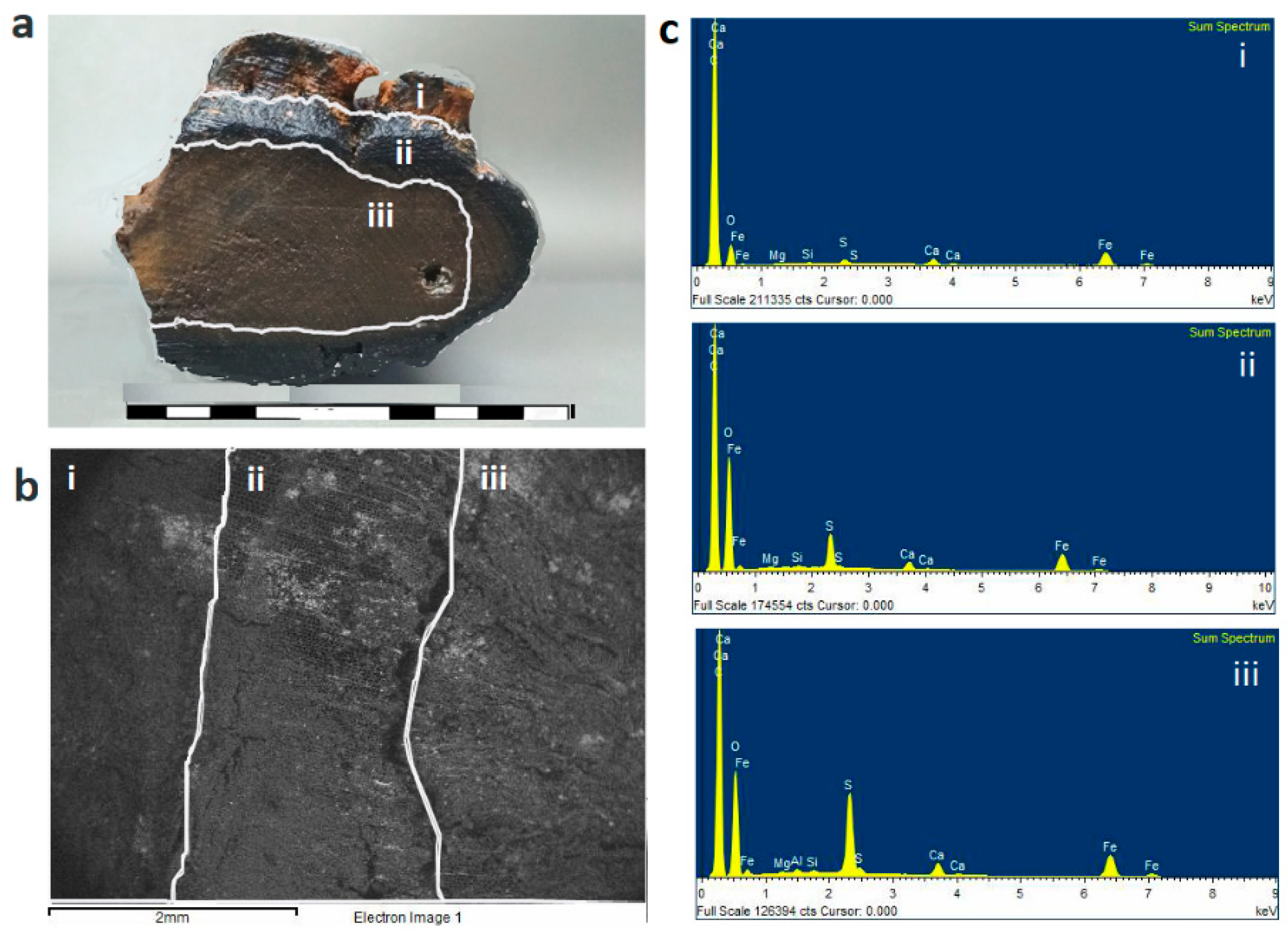 Forests 12 01594 g001