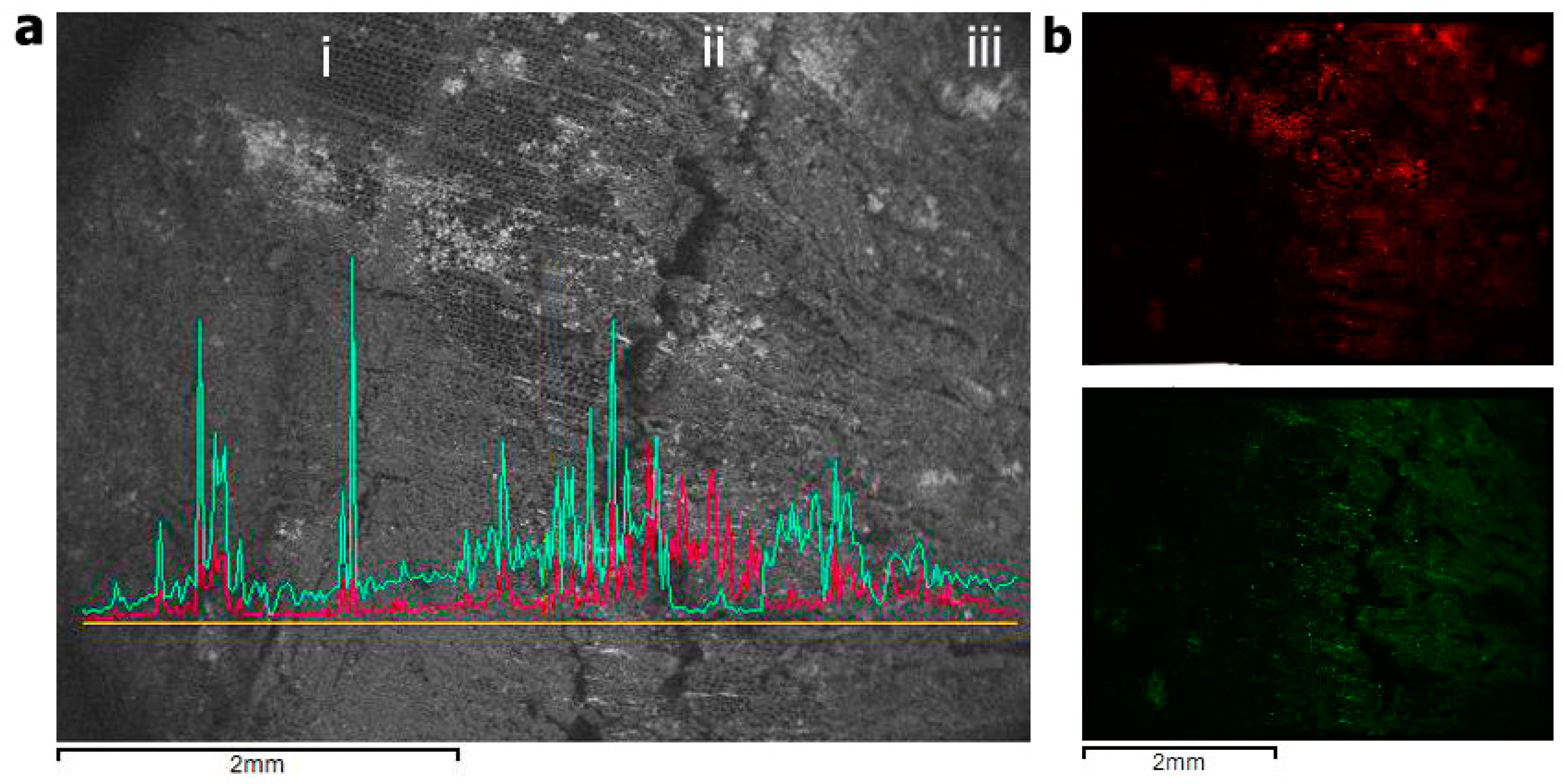Forests 12 01594 g002