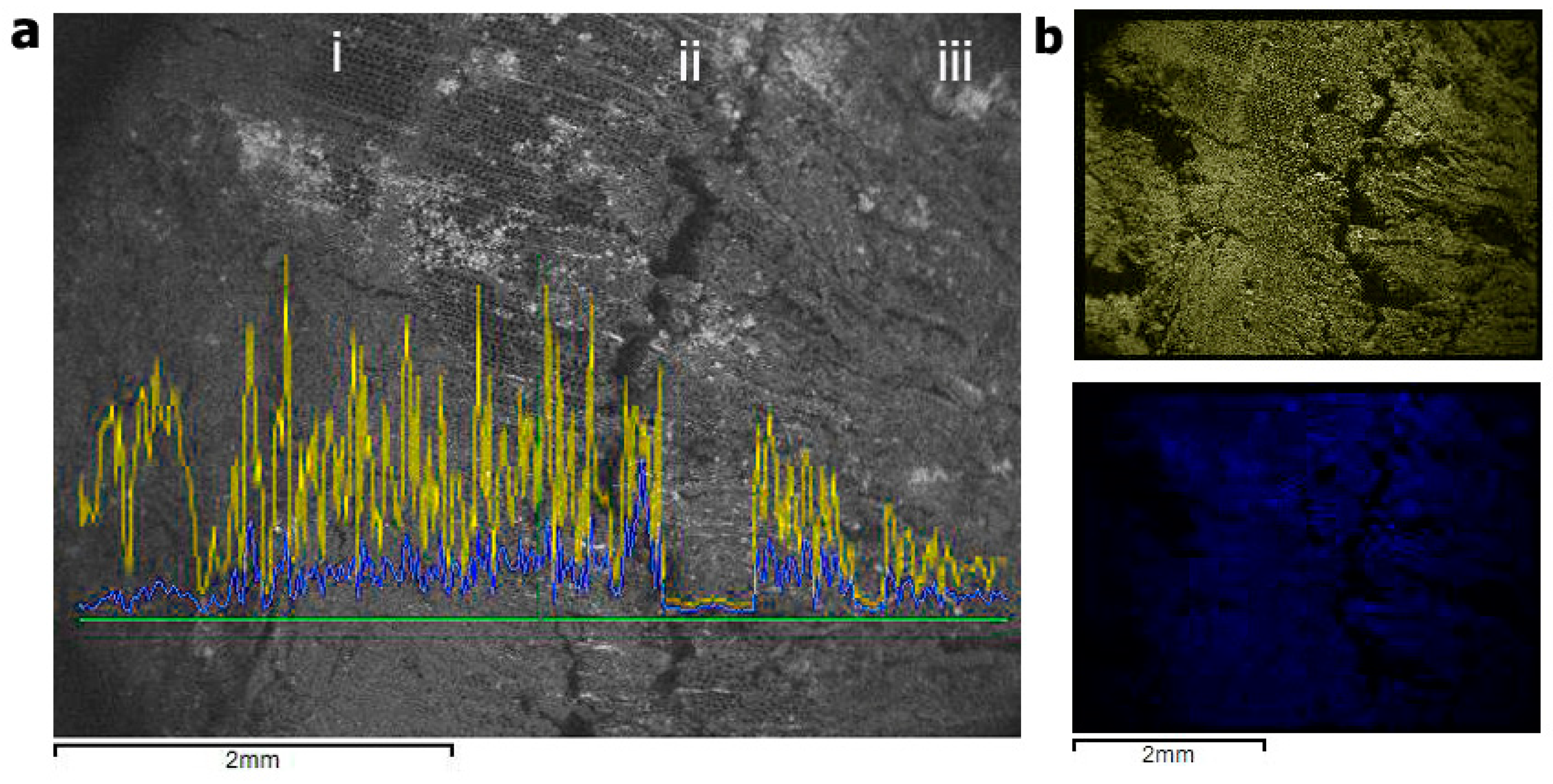 Forests 12 01594 g003