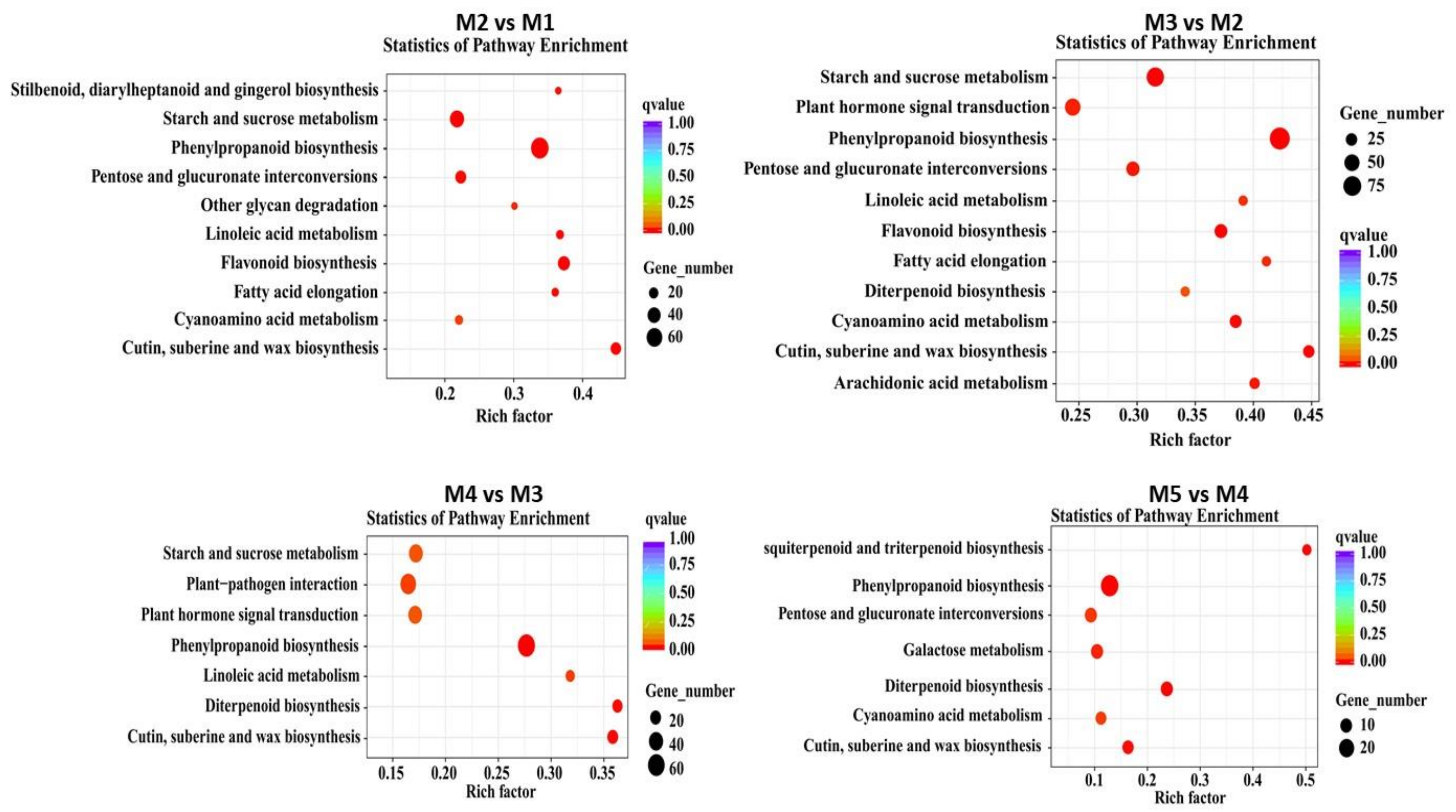 Forests 12 01598 g007 Forests 12 01598 g007
