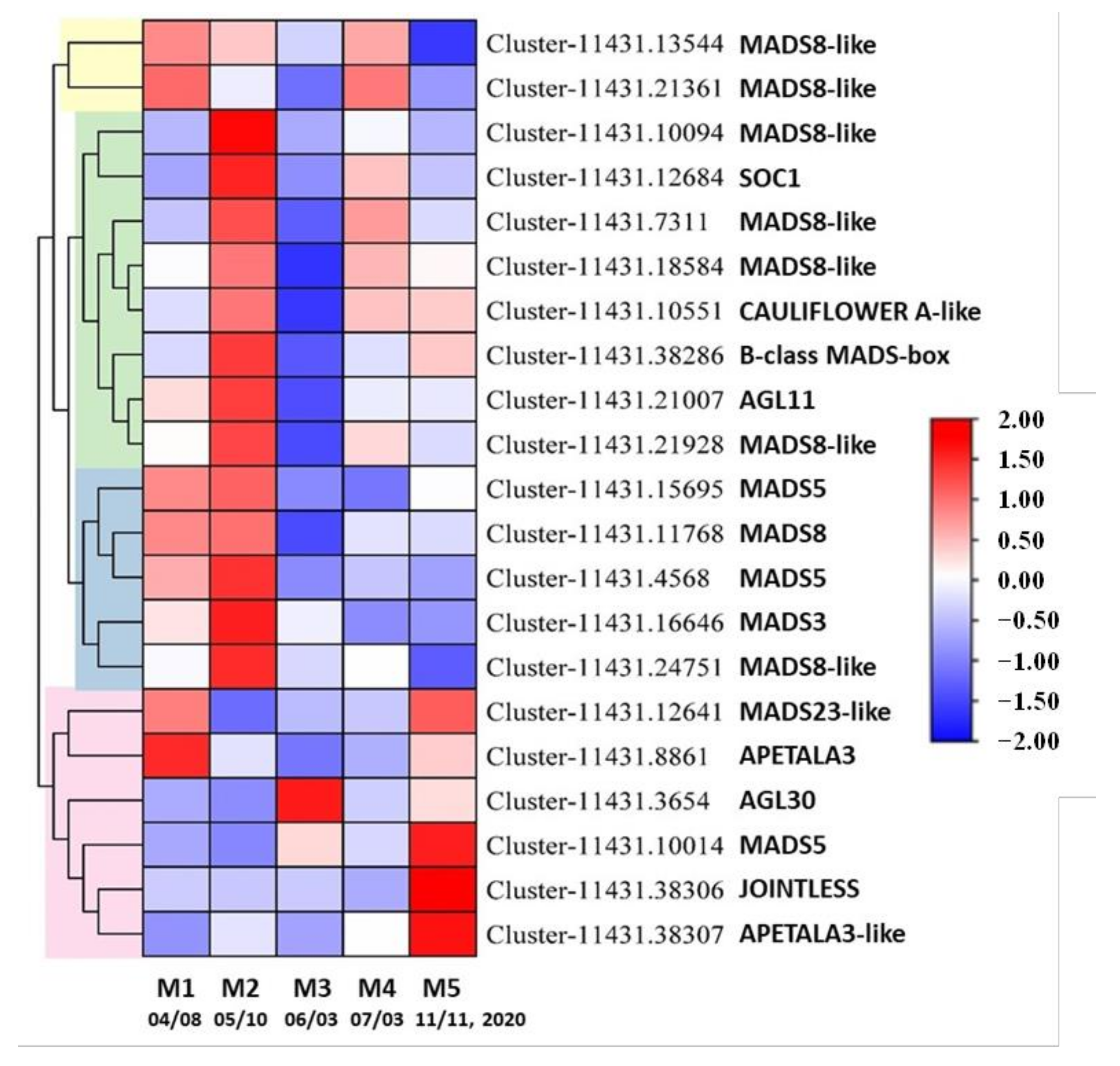 Forests 12 01598 g008 Forests 12 01598 g008