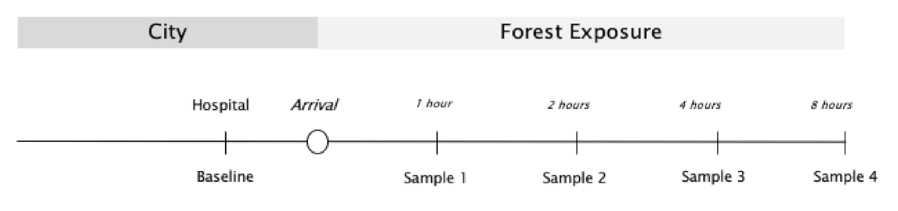Forests 12 01600 g002