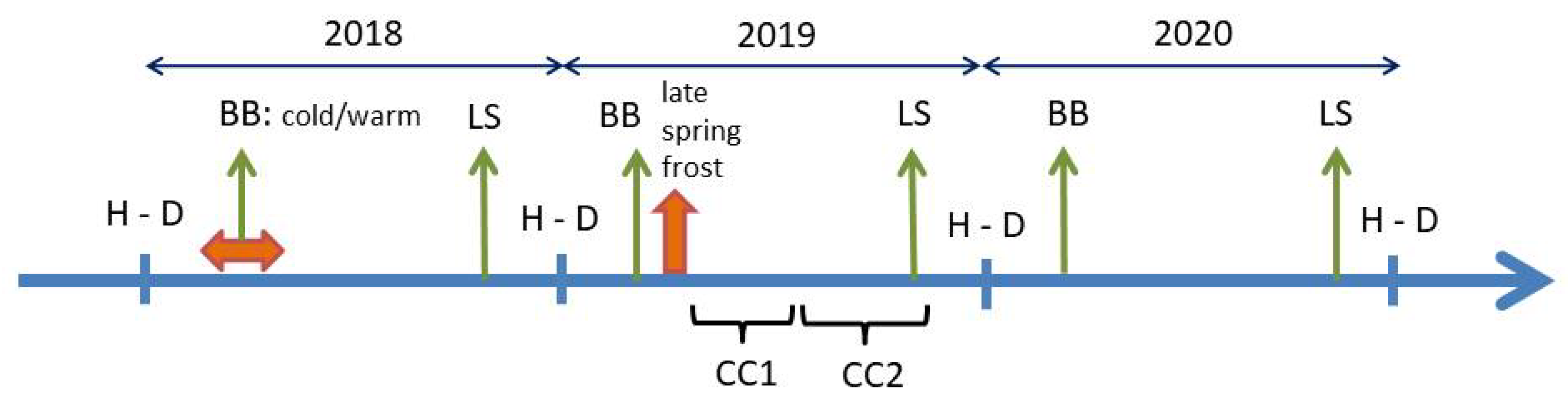 Forests 12 01604 g003 550