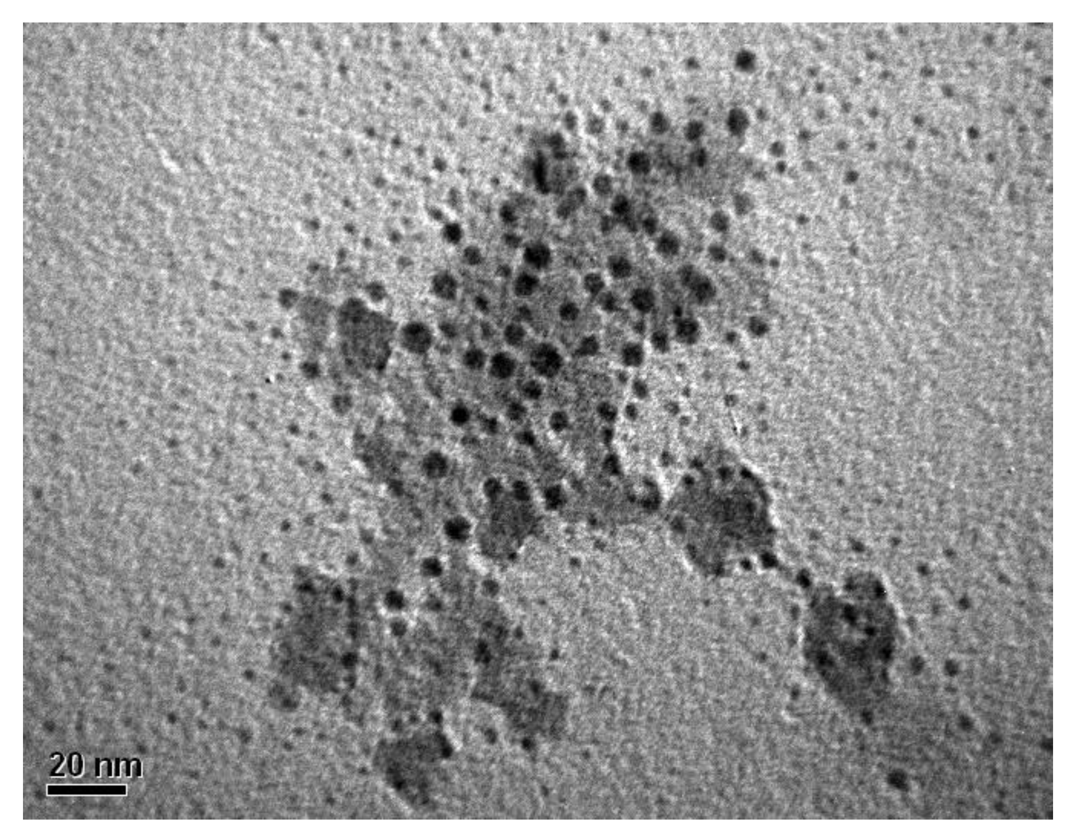 Forests 12 01606 g001