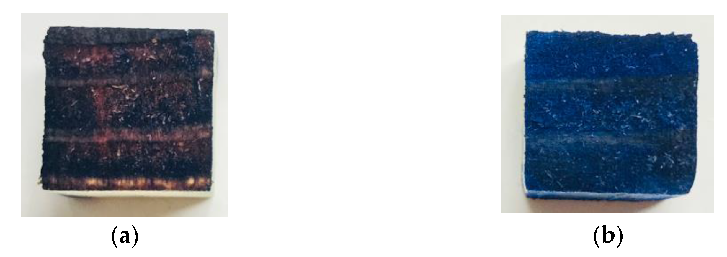 Forests 12 01606 g002