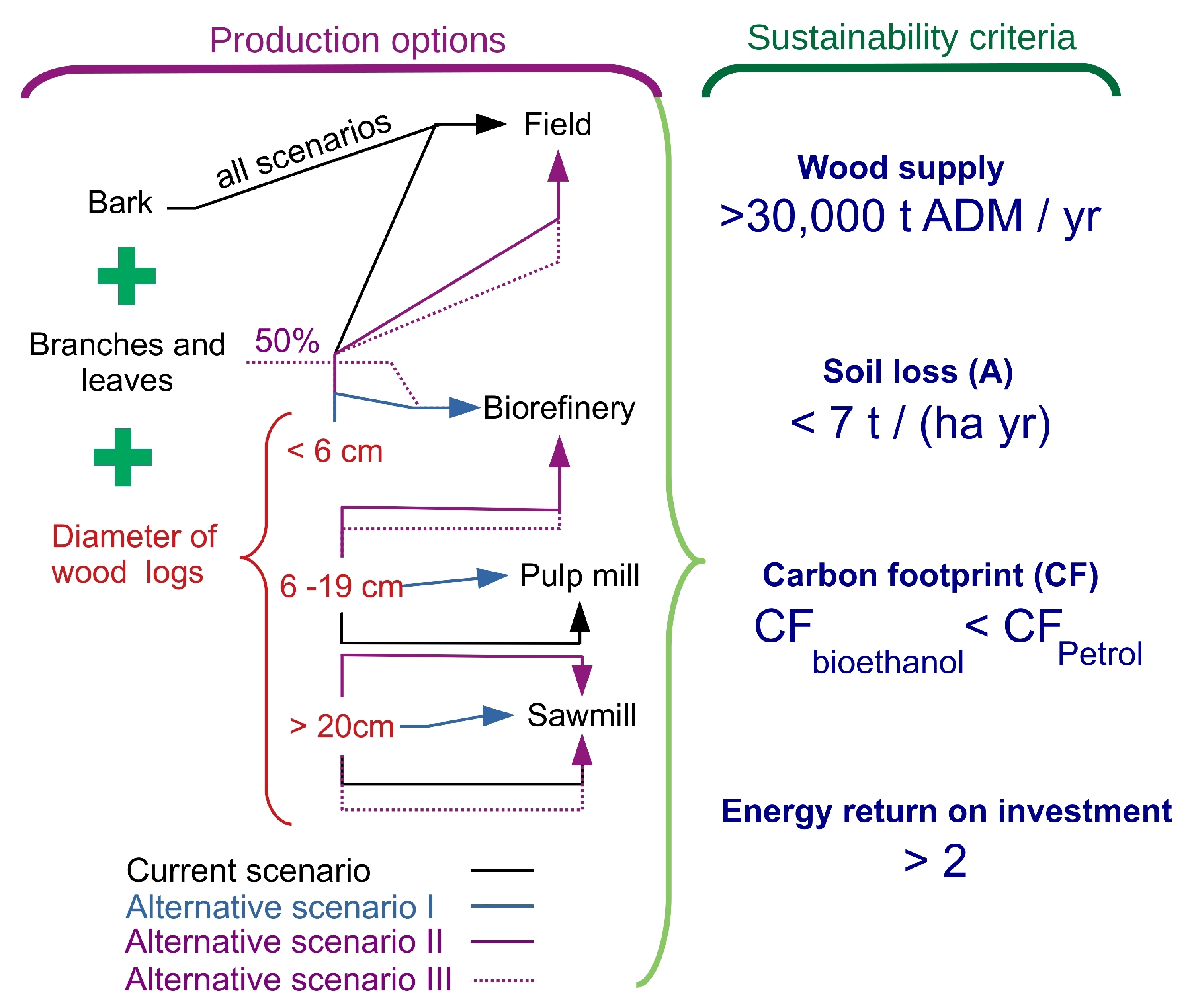 Forests 12 01609 g004