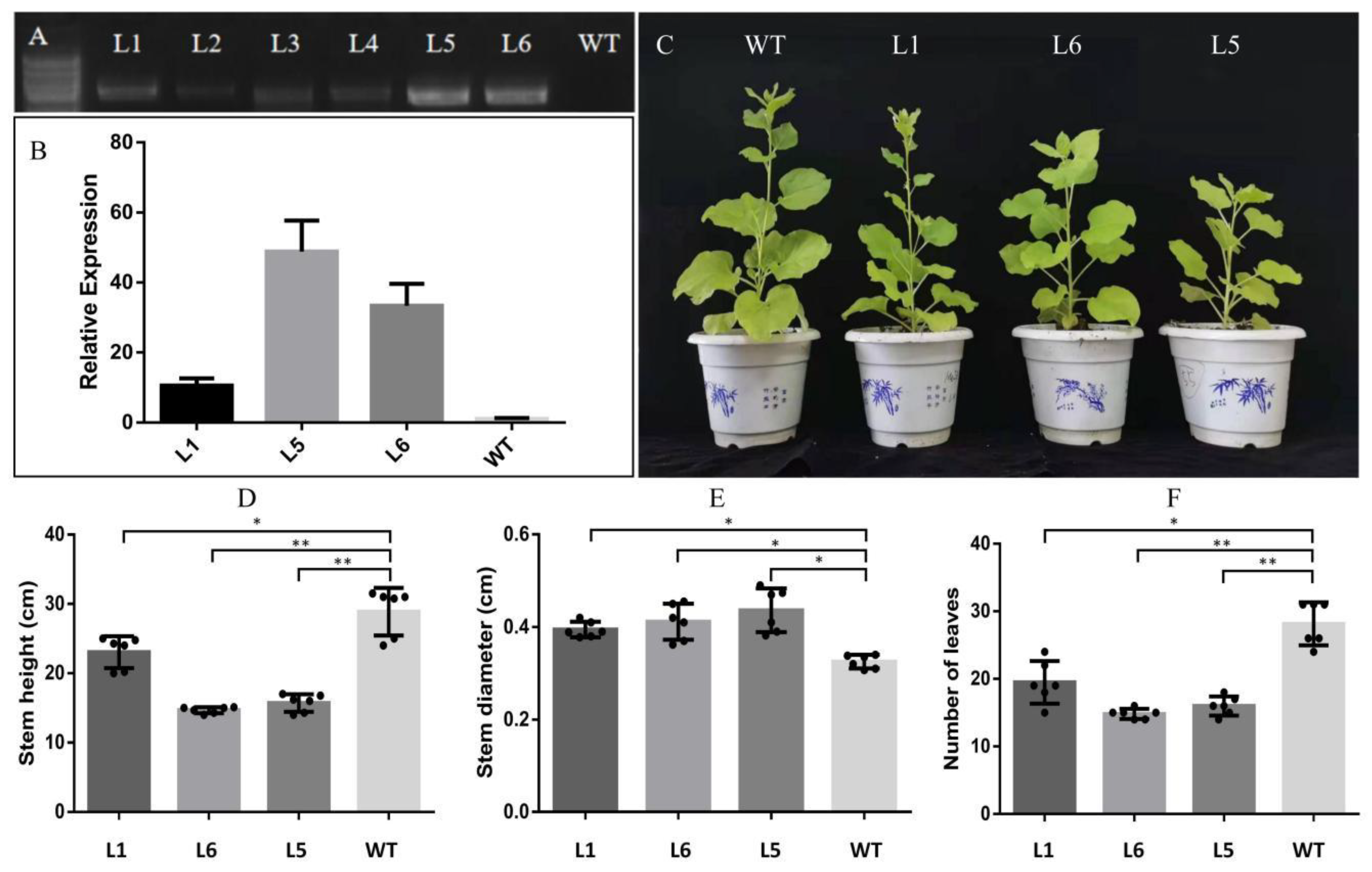 Forests 12 01618 g004