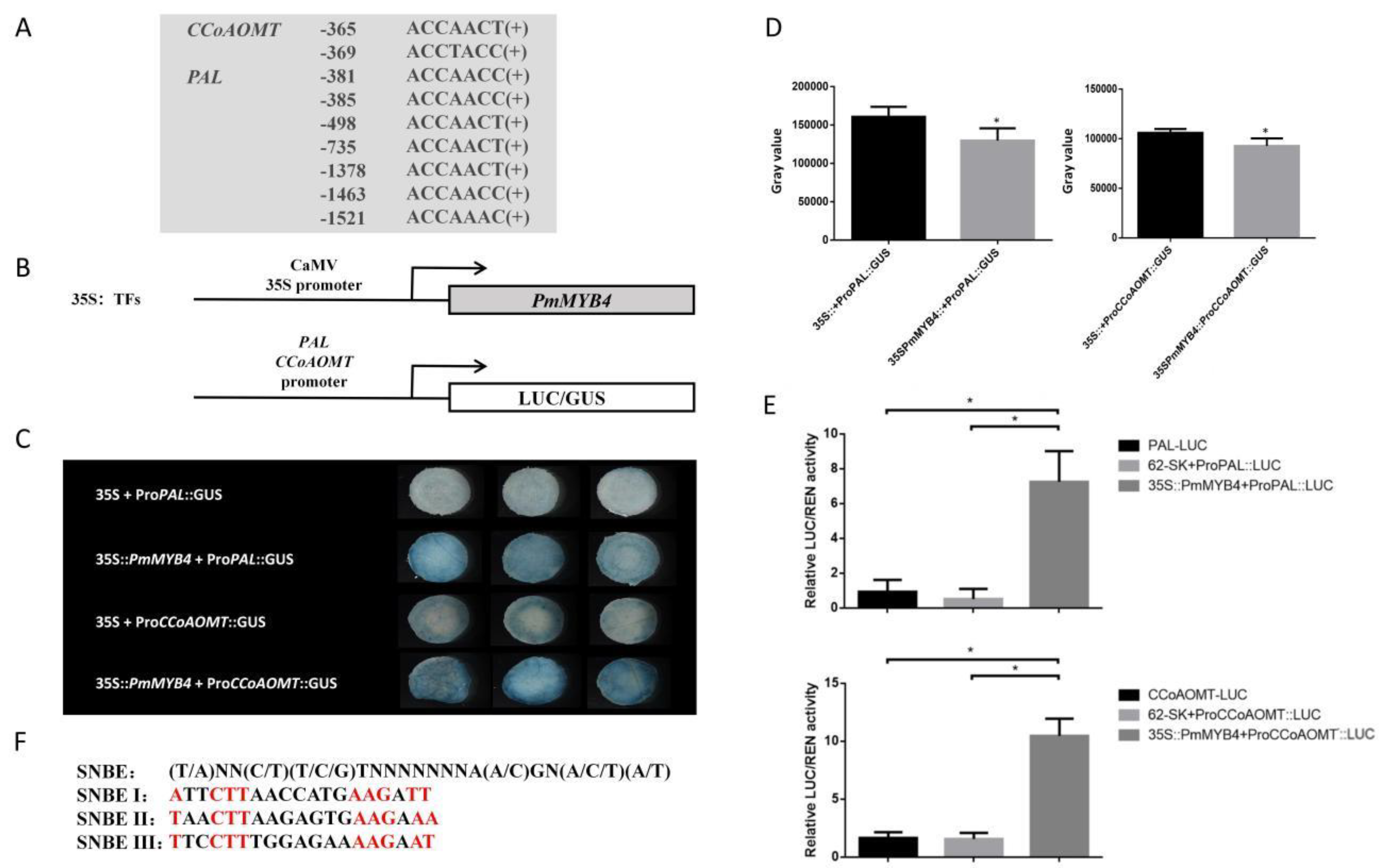 Forests 12 01618 g007