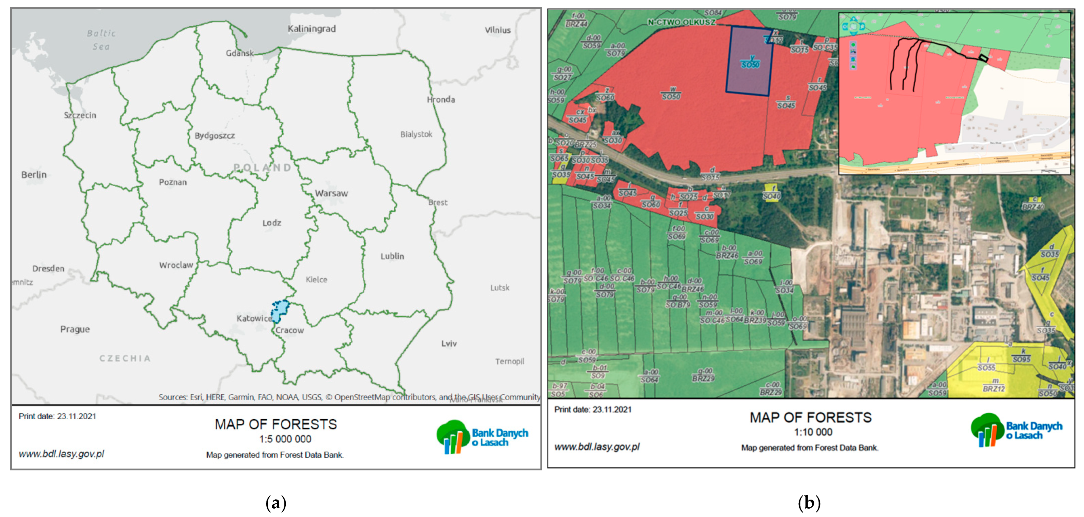 Forests 12 01626 g001