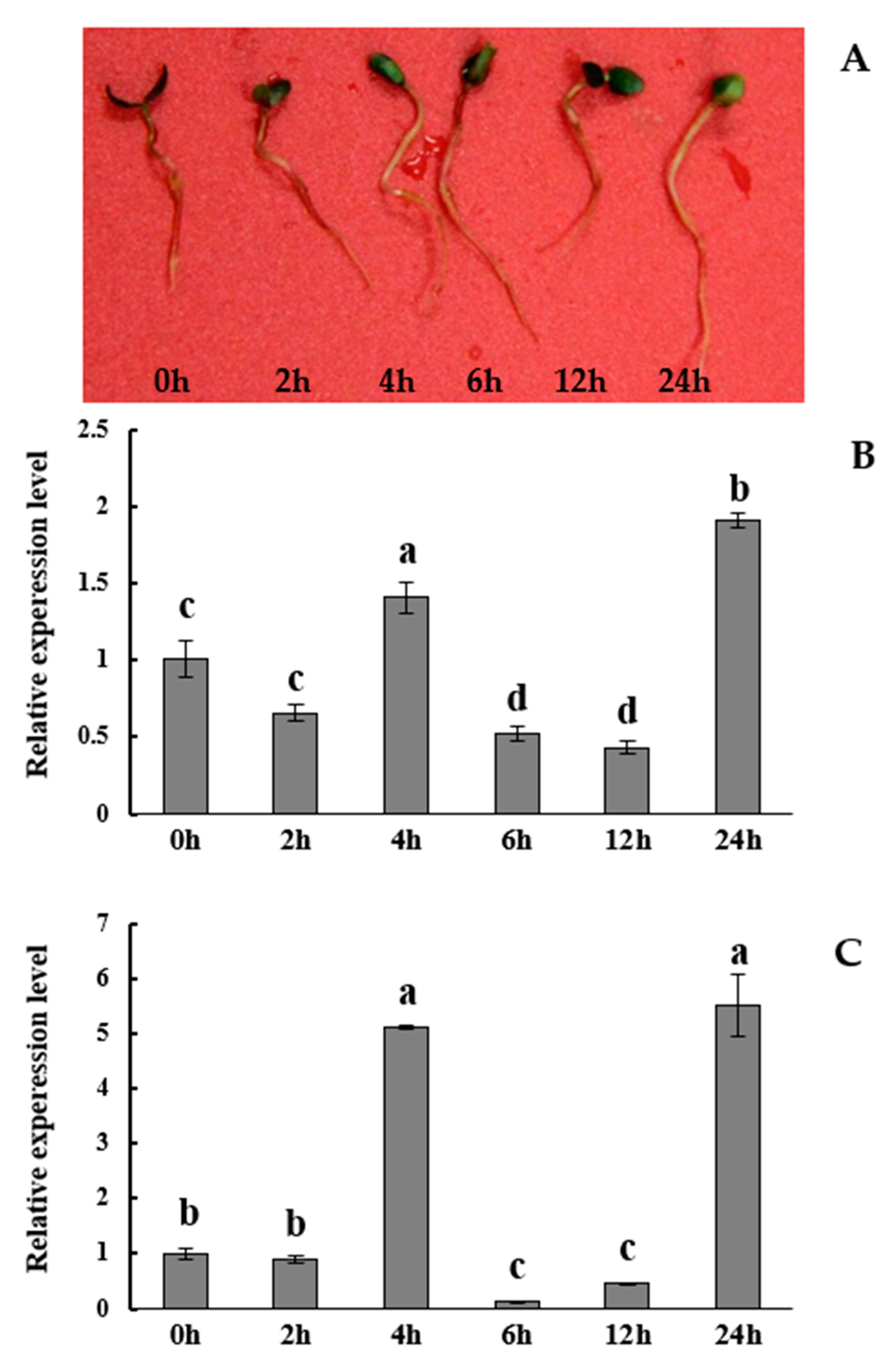 Forests 12 01633 g003