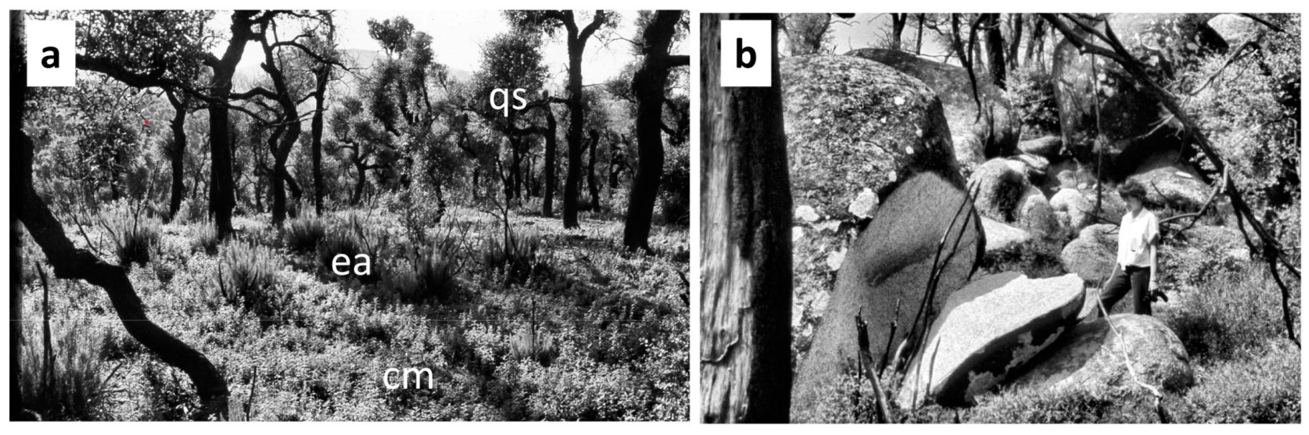 Forests 12 01644 g001 Forests 12 01644 g001