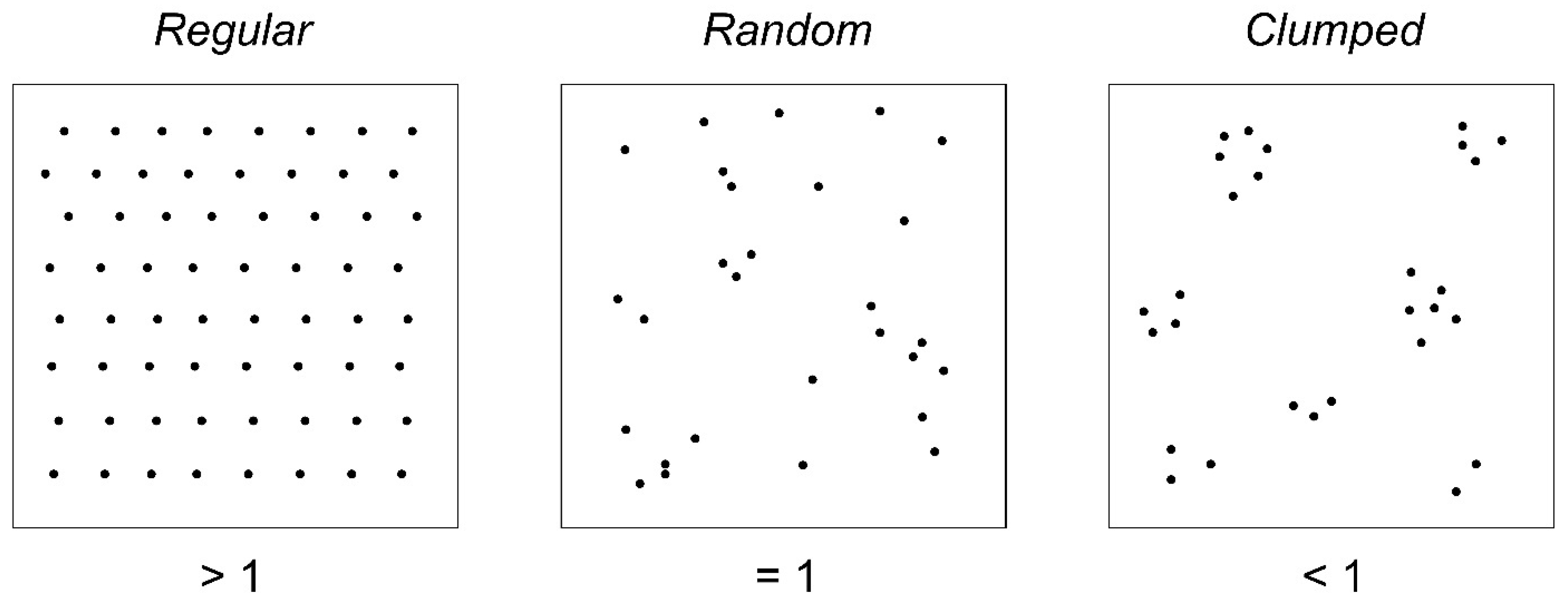 Forests 12 01645 g002