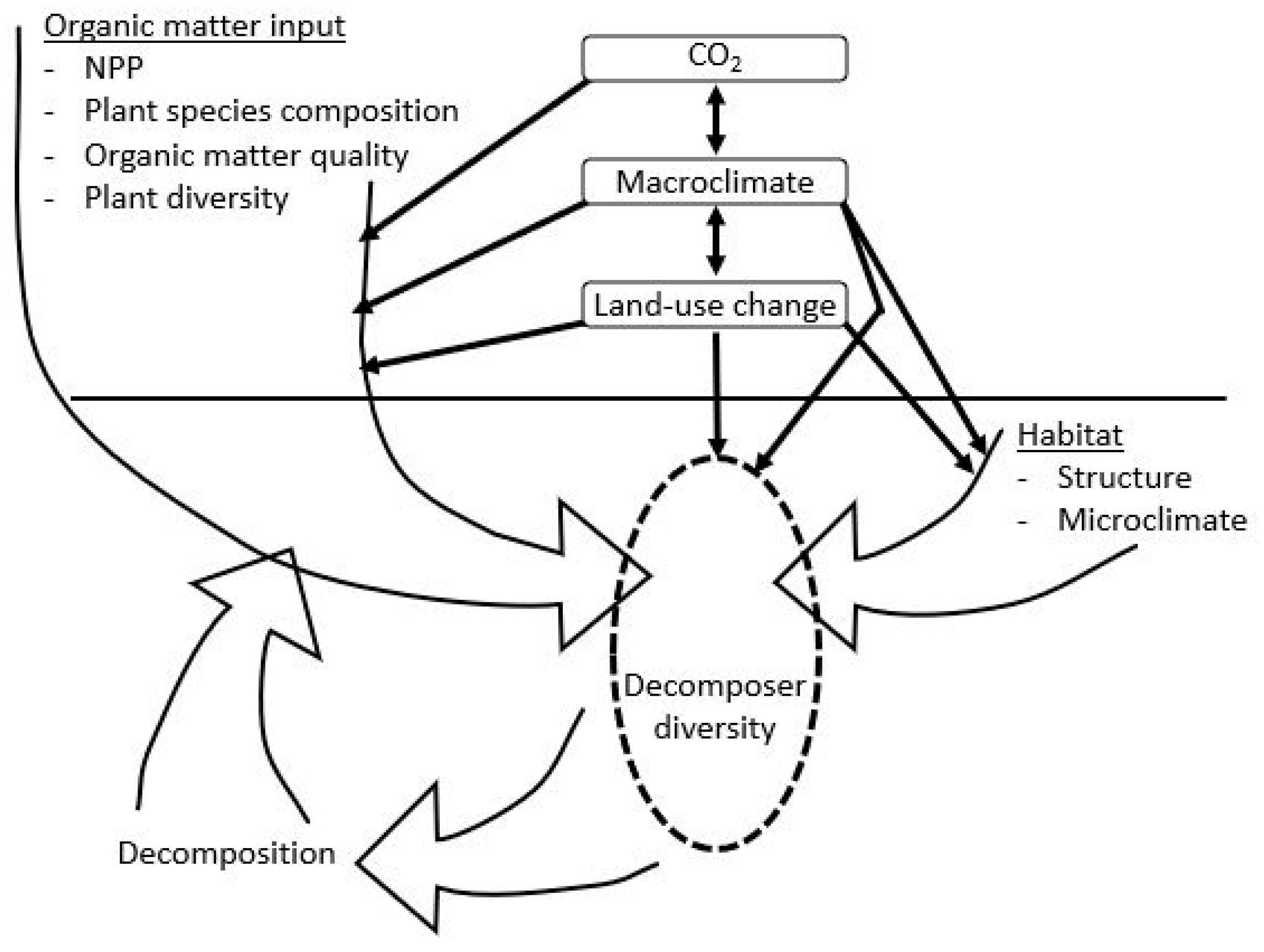 Forests 12 01650 g004