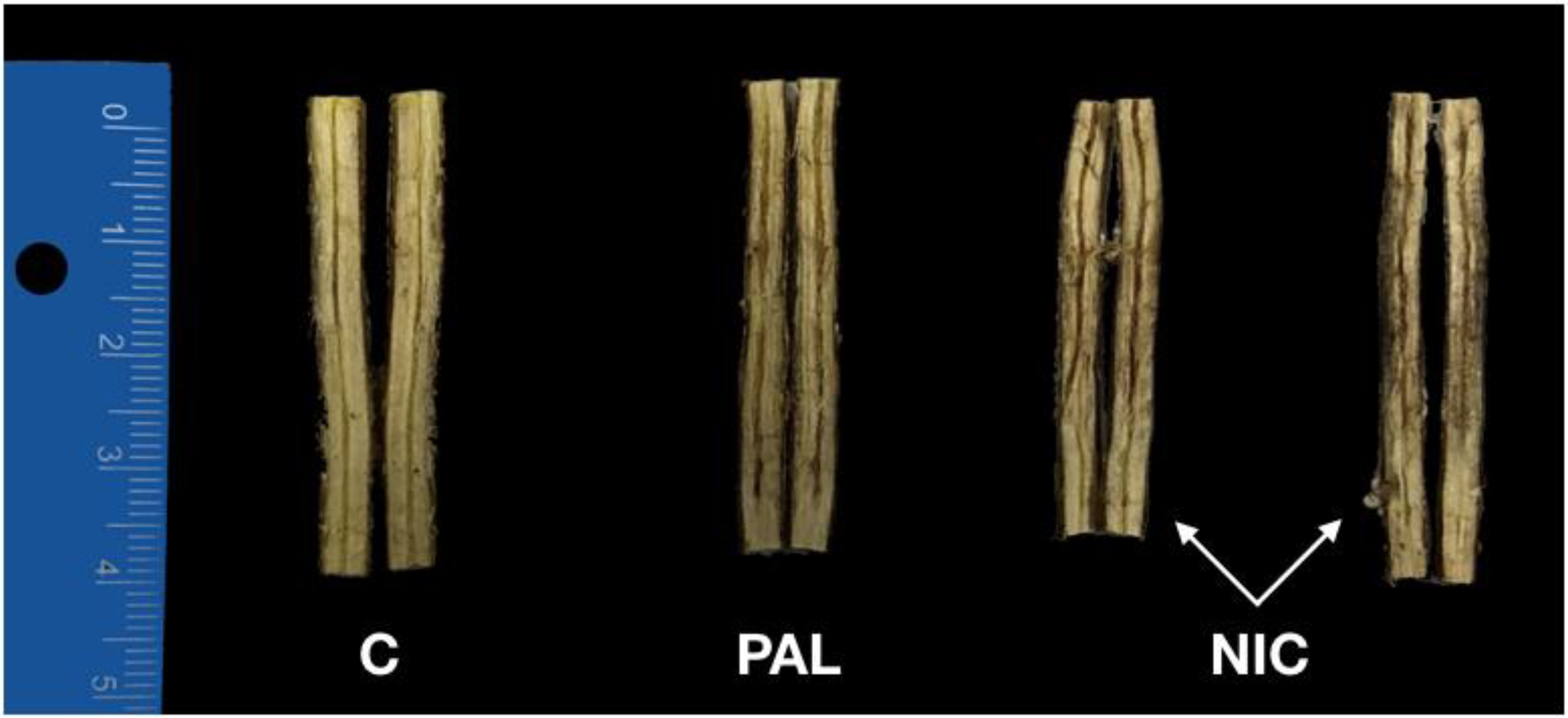 Forests 12 01664 g008
