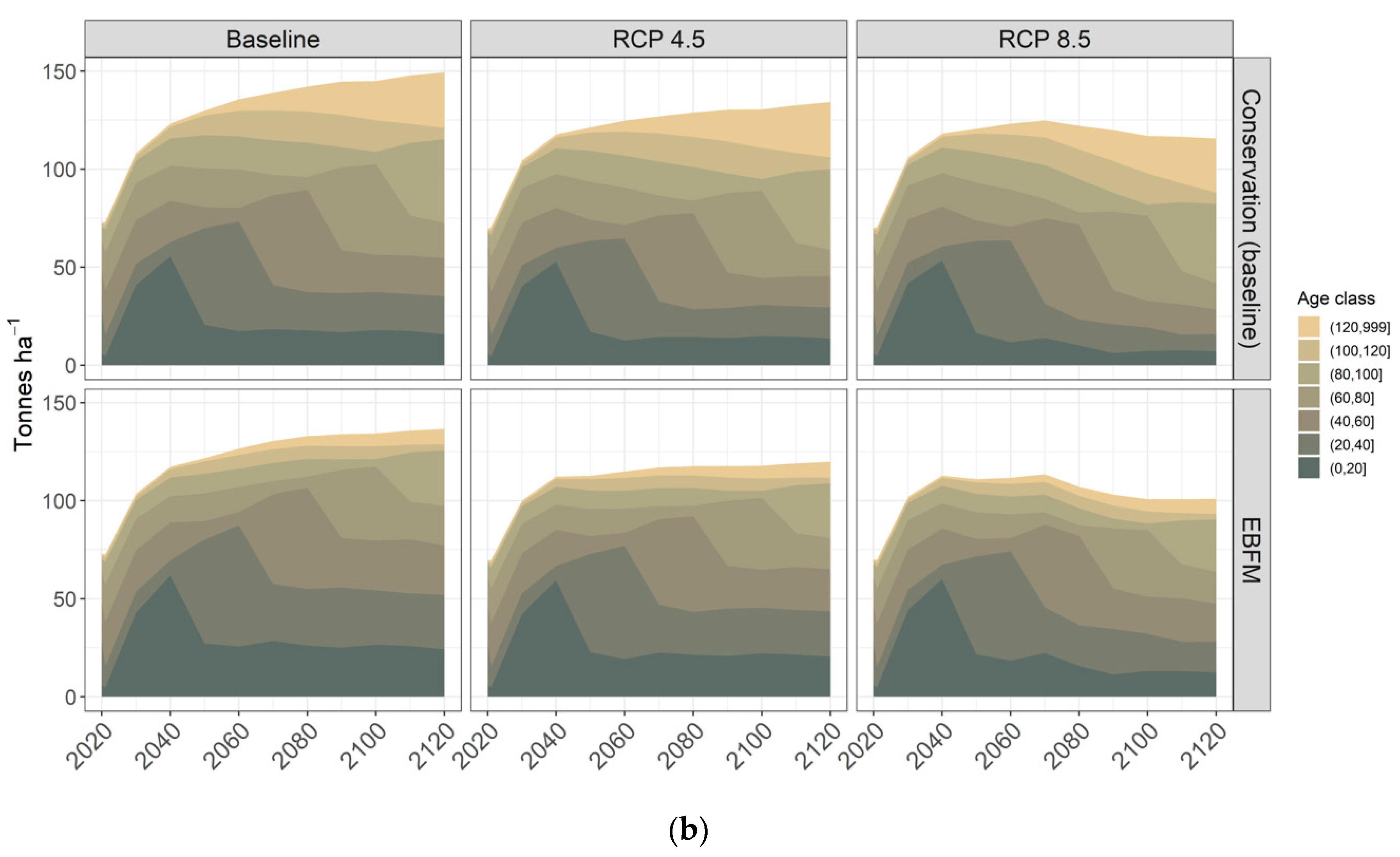 Forests 12 01667 g004b 550