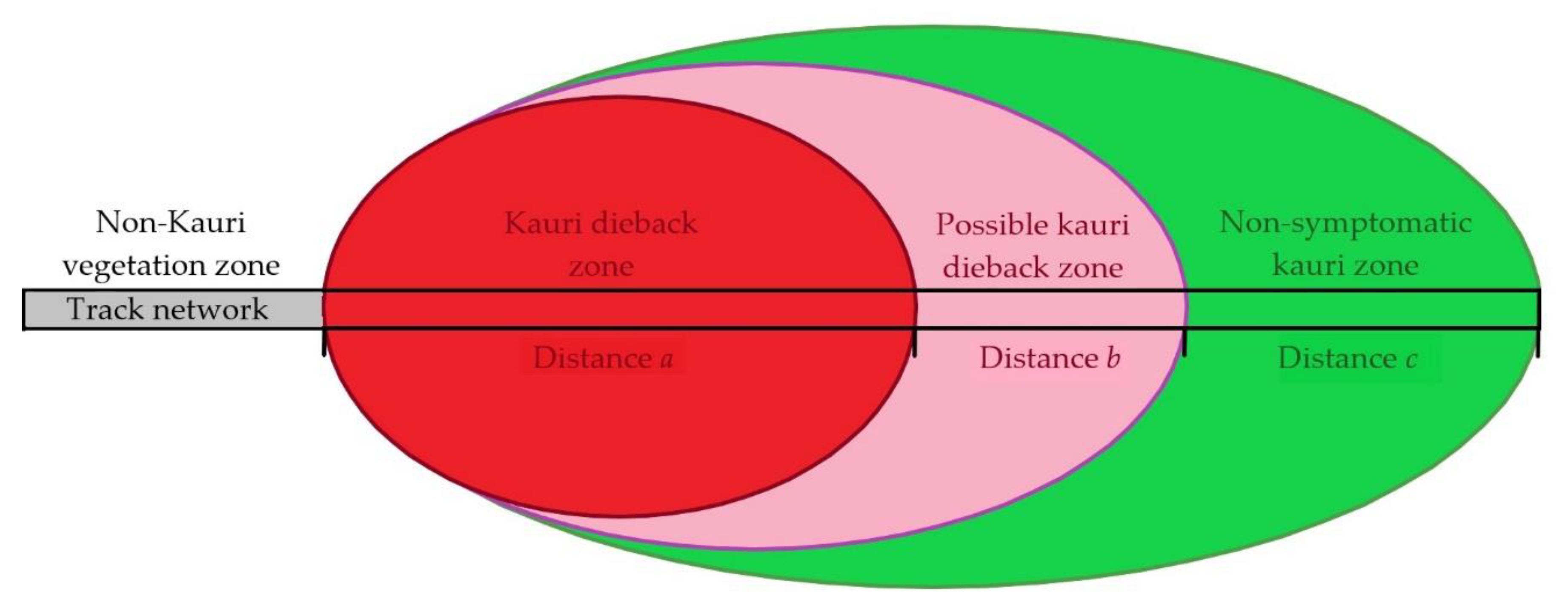 Forests 12 01671 g001