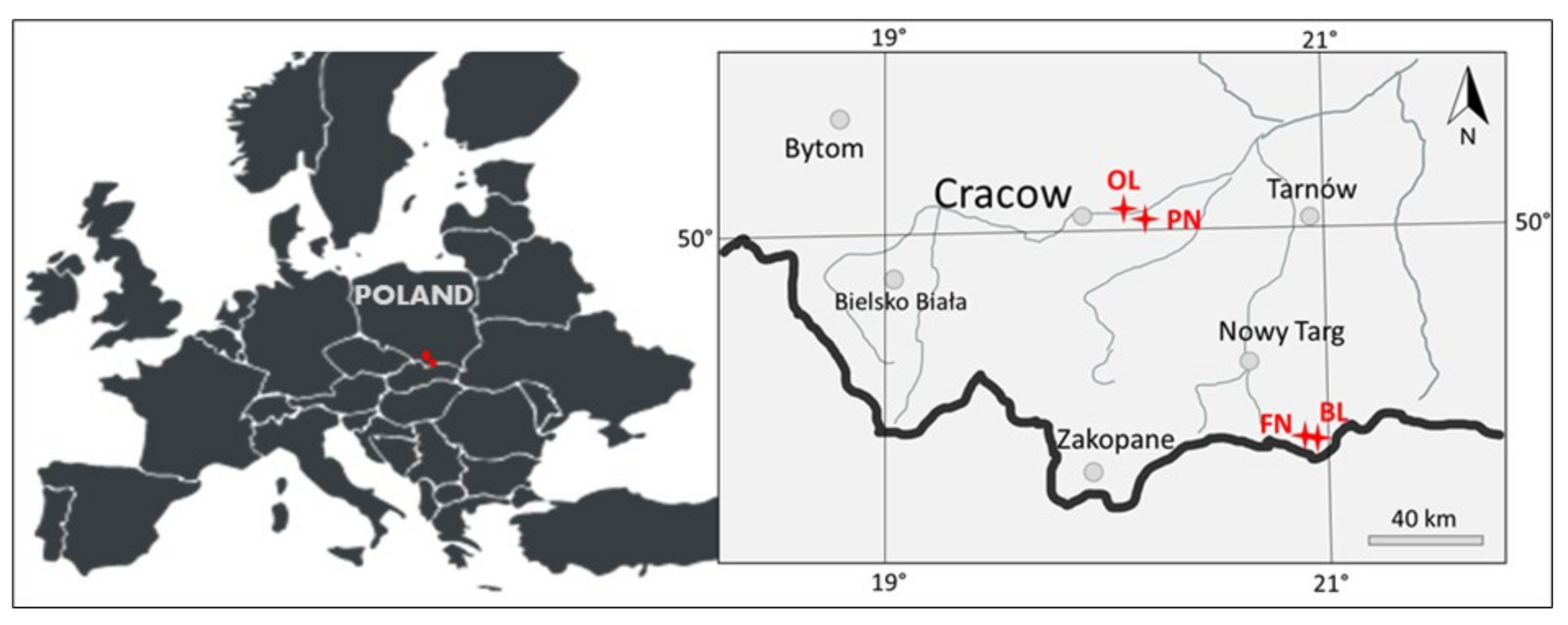 Forests 12 01674 g001