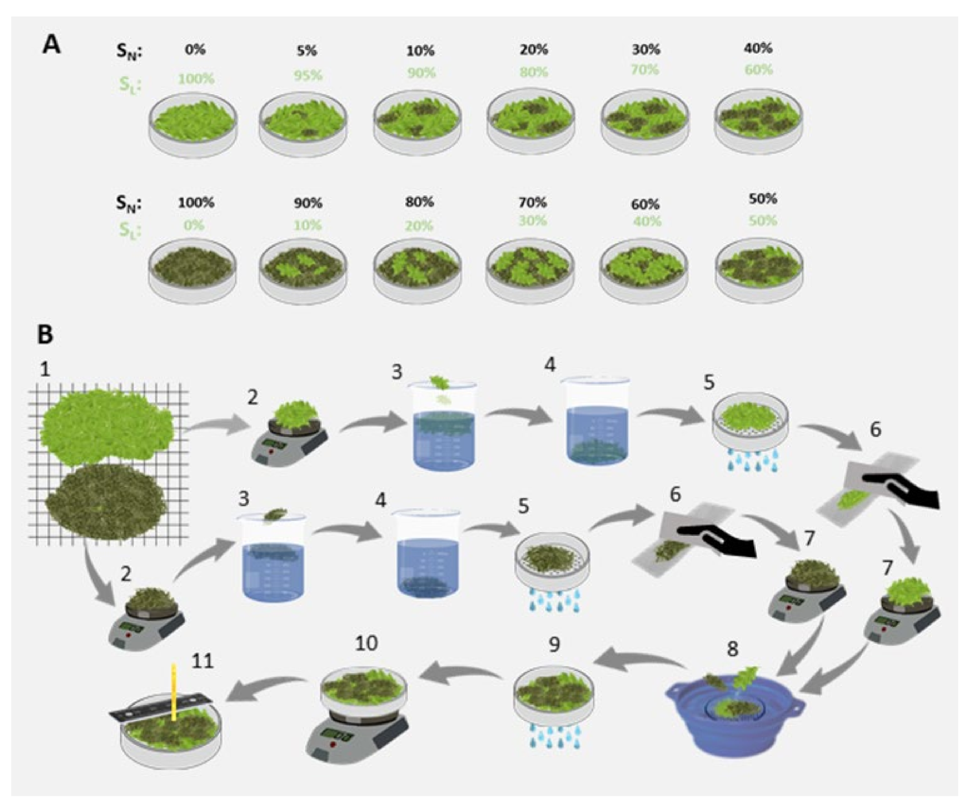 Forests 12 01674 g002
