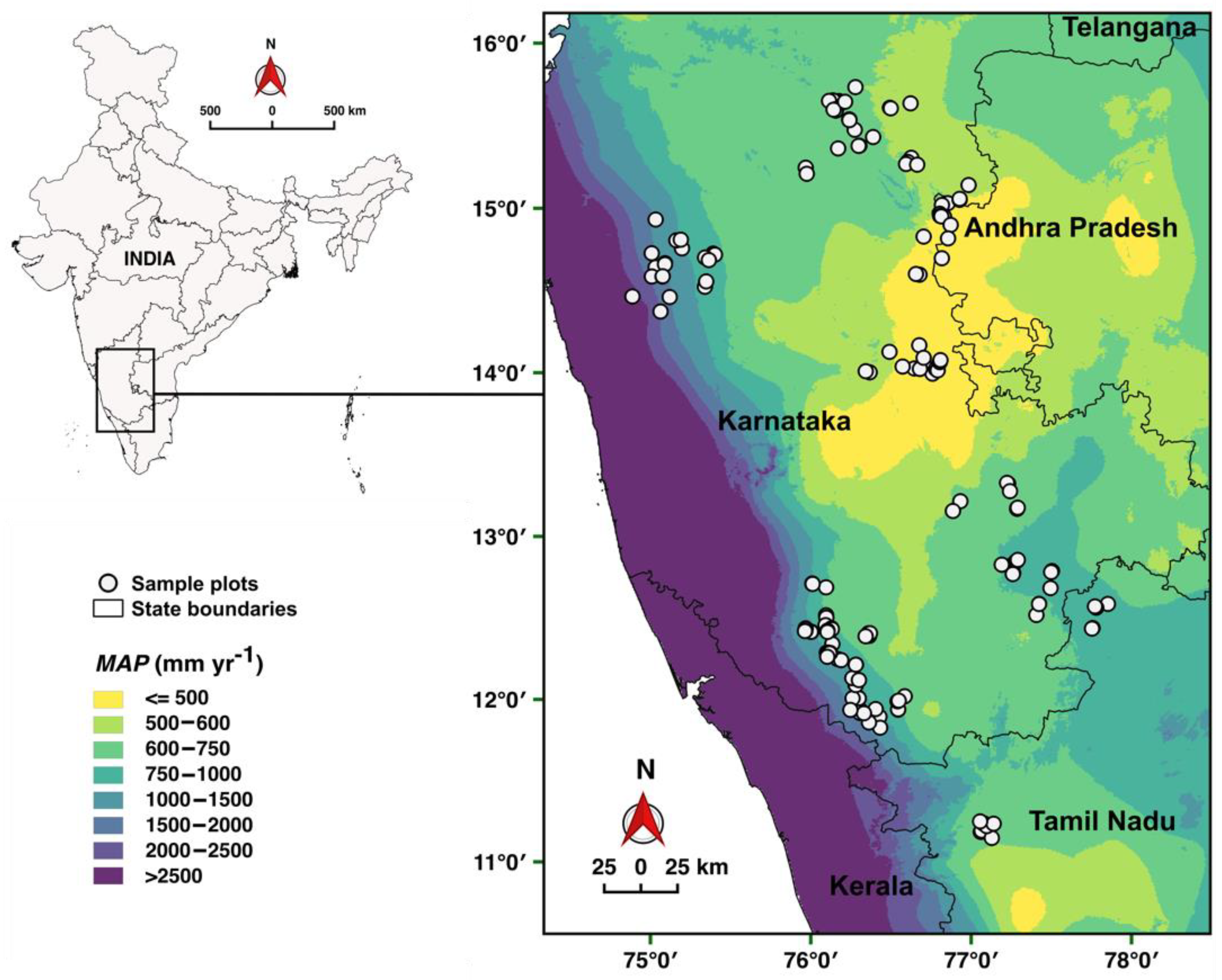 Forests 12 01675 g001