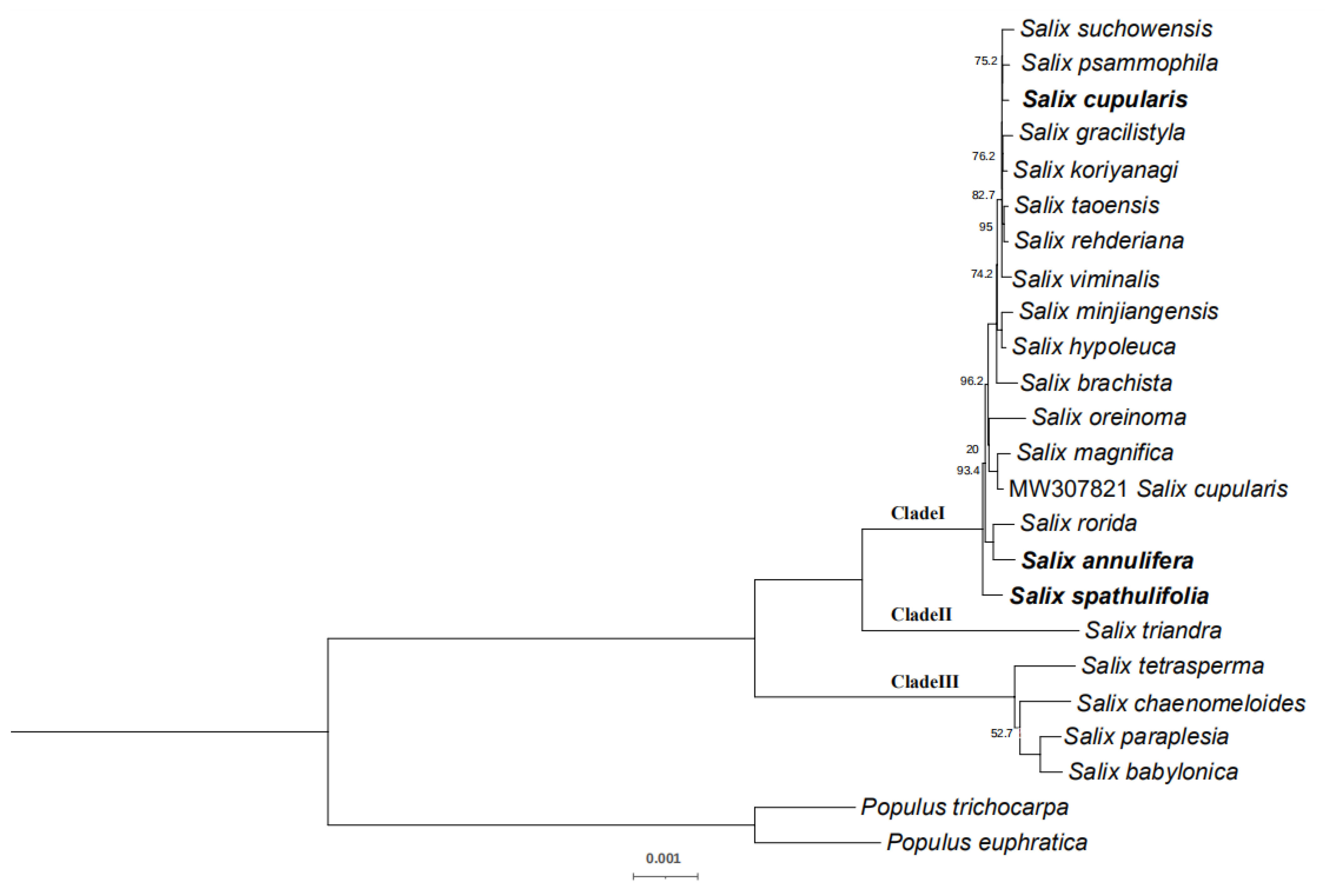 Forests 12 01681 g007