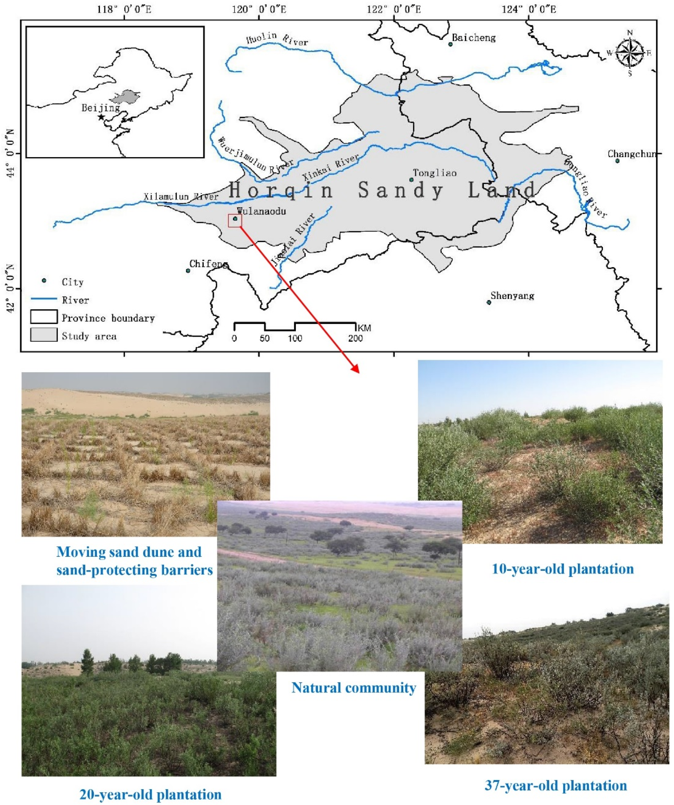 Forests 12 01707 g001