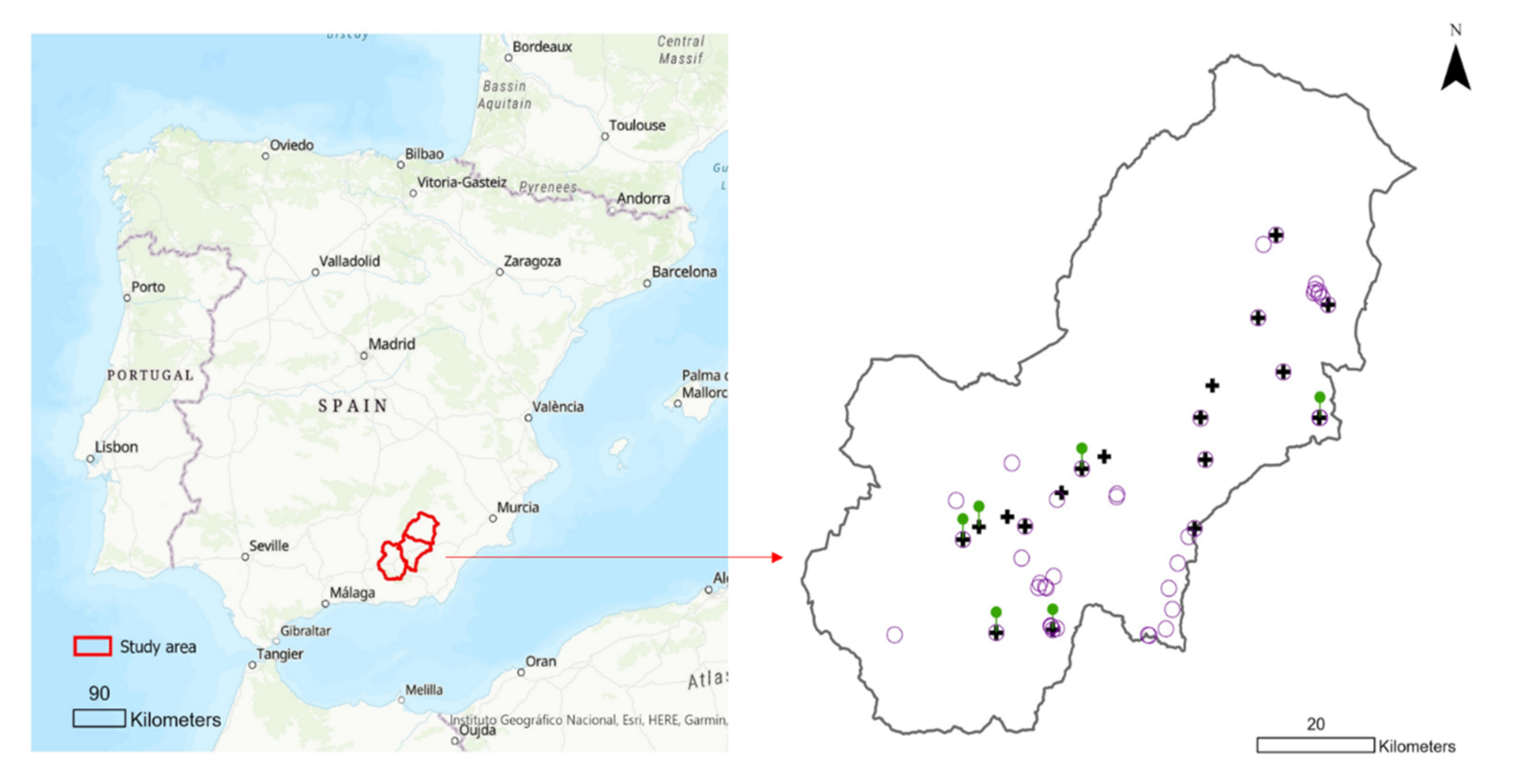Forests 12 01730 g001