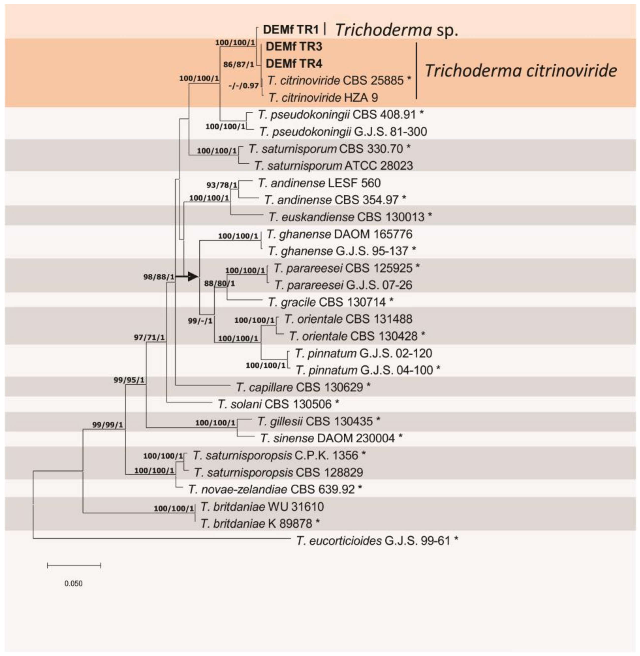 Forests 12 01731 g001 Forests 12 01731 g001