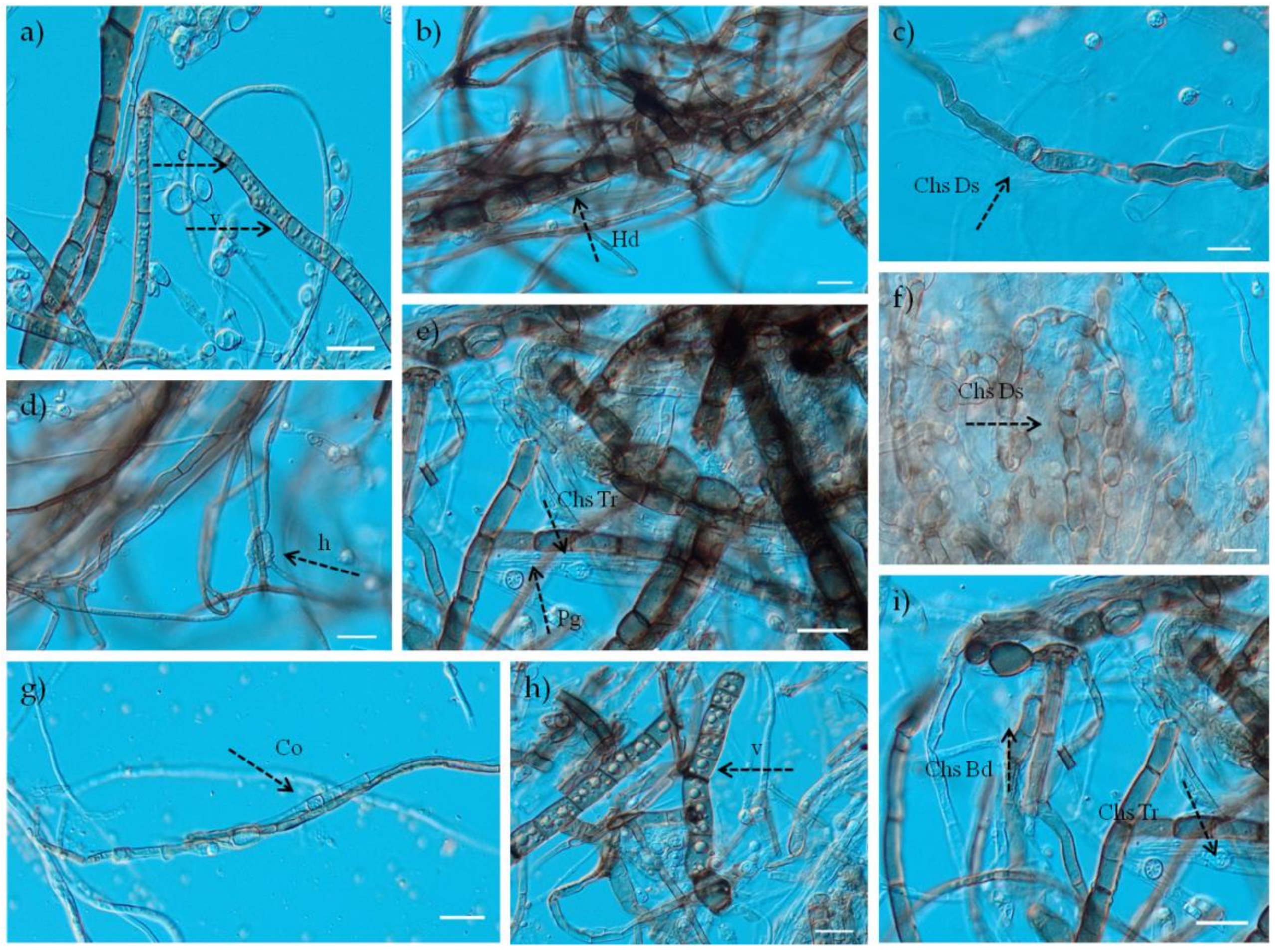 Forests 12 01731 g003 Forests 12 01731 g003