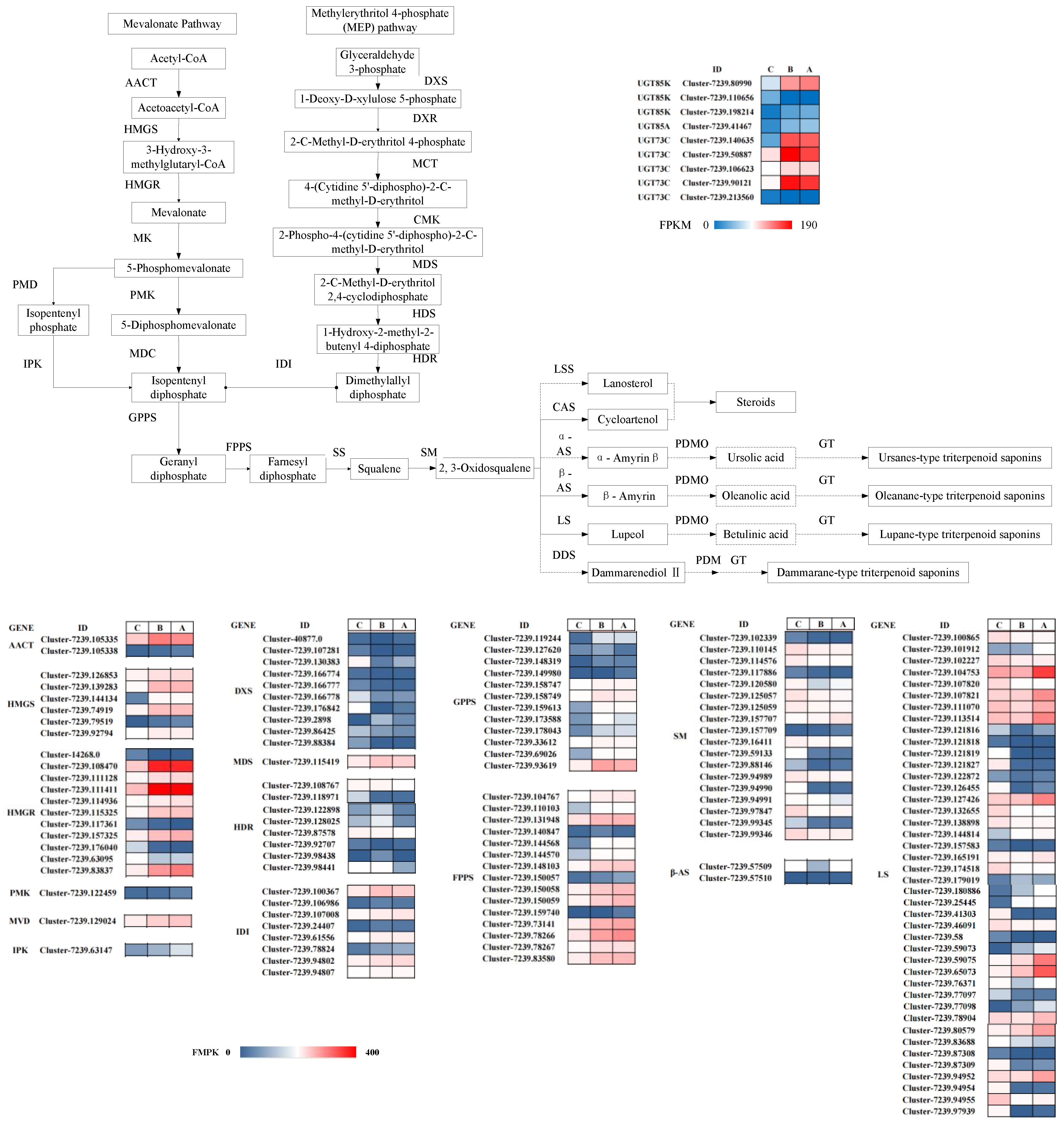 Forests 12 01733 g003
