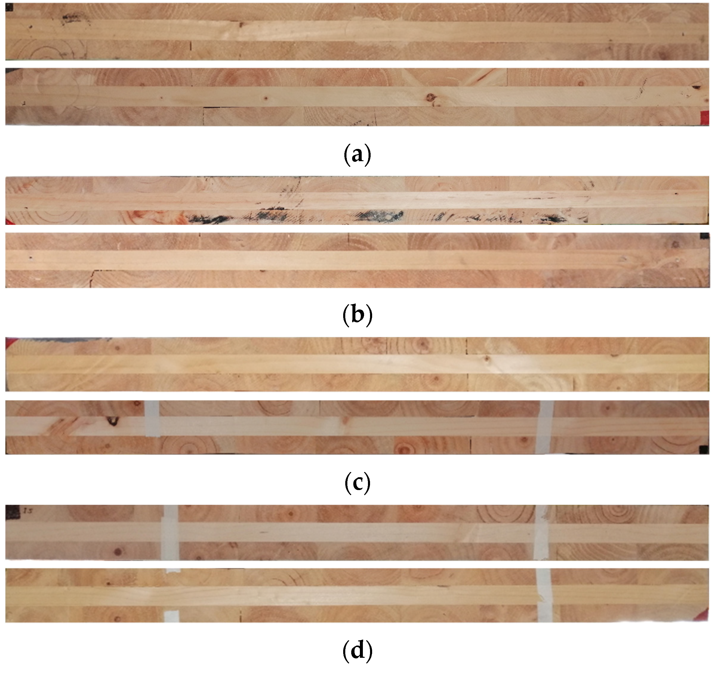 Forests 12 01734 g003