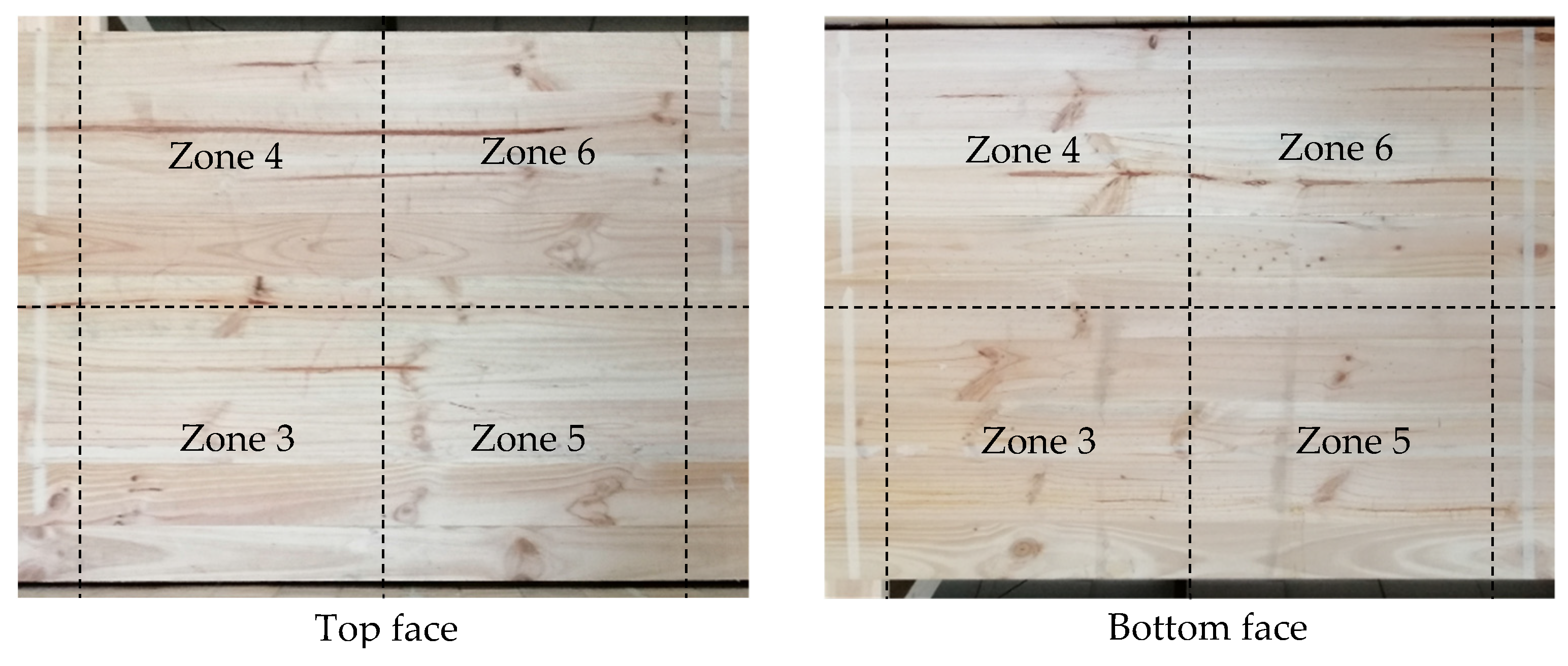 Forests 12 01734 g024
