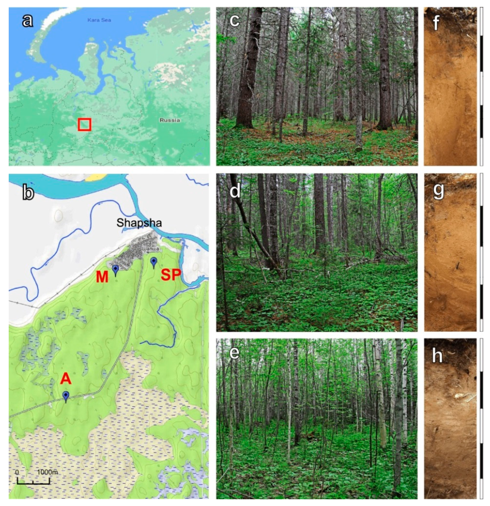 Forests 12 01738 g001