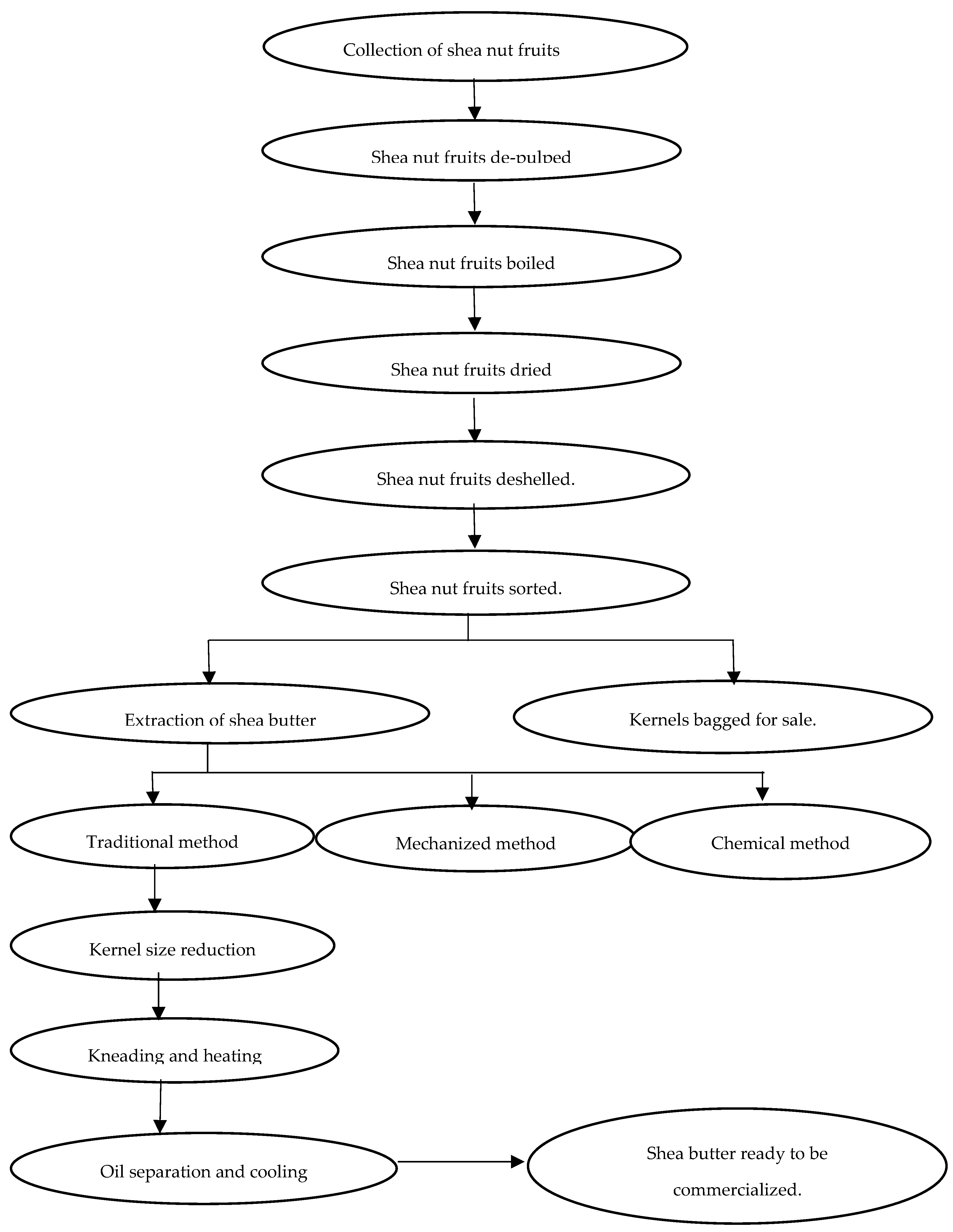 Forests 12 01740 g004 Forests 12 01740 g004