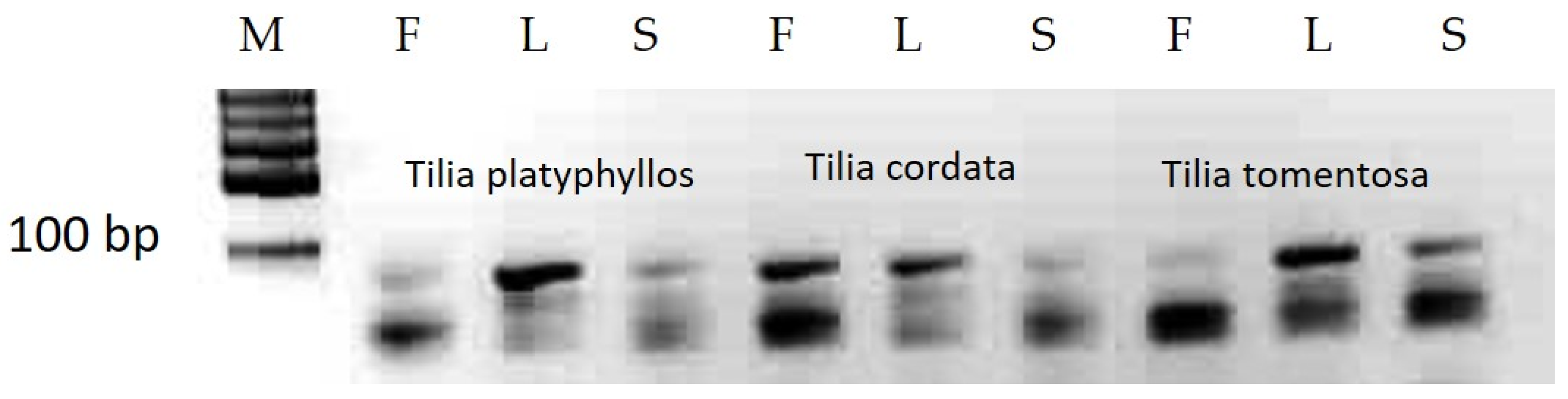 Forests 12 01748 g003