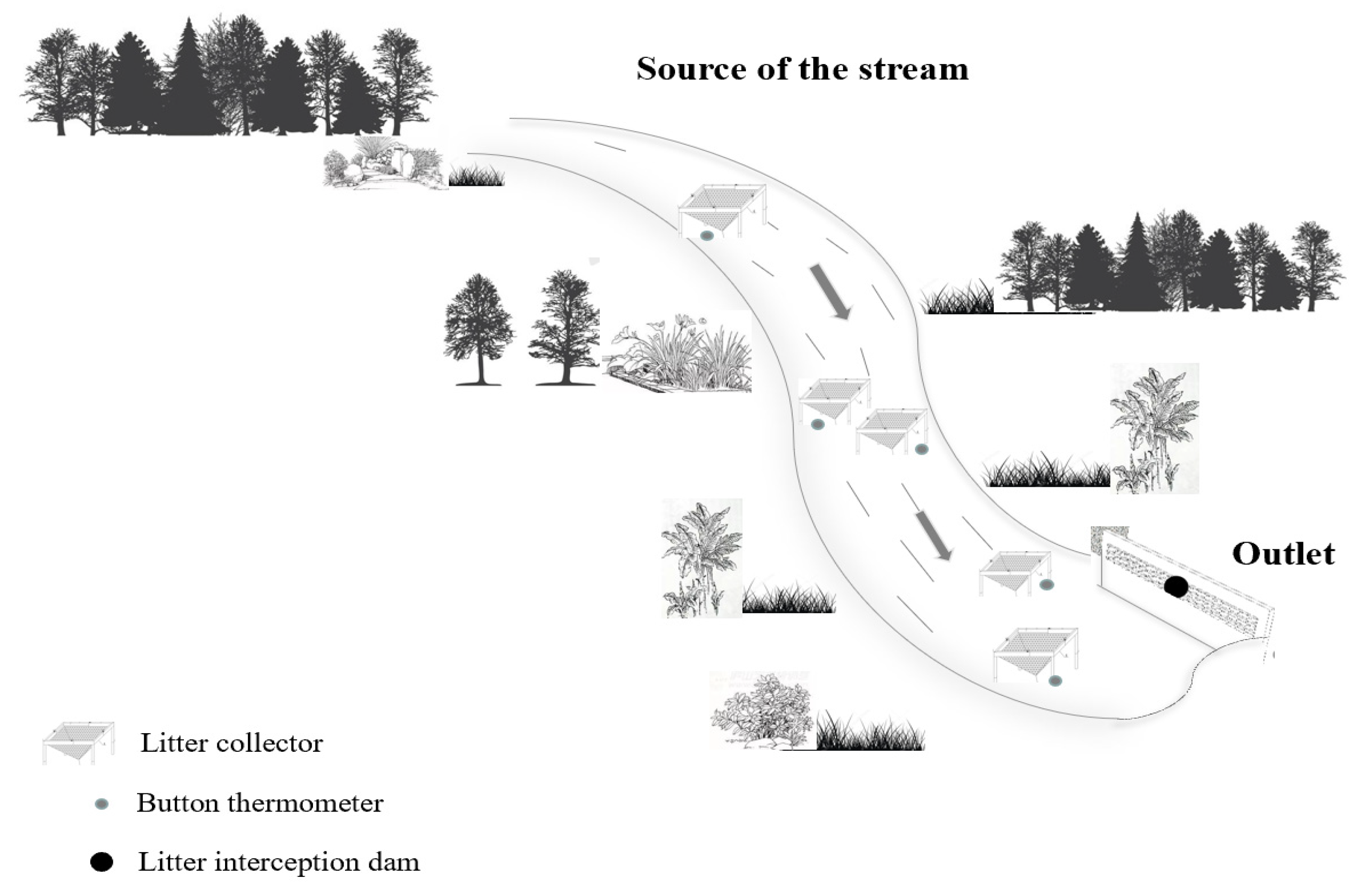 Forests 12 01764 g002
