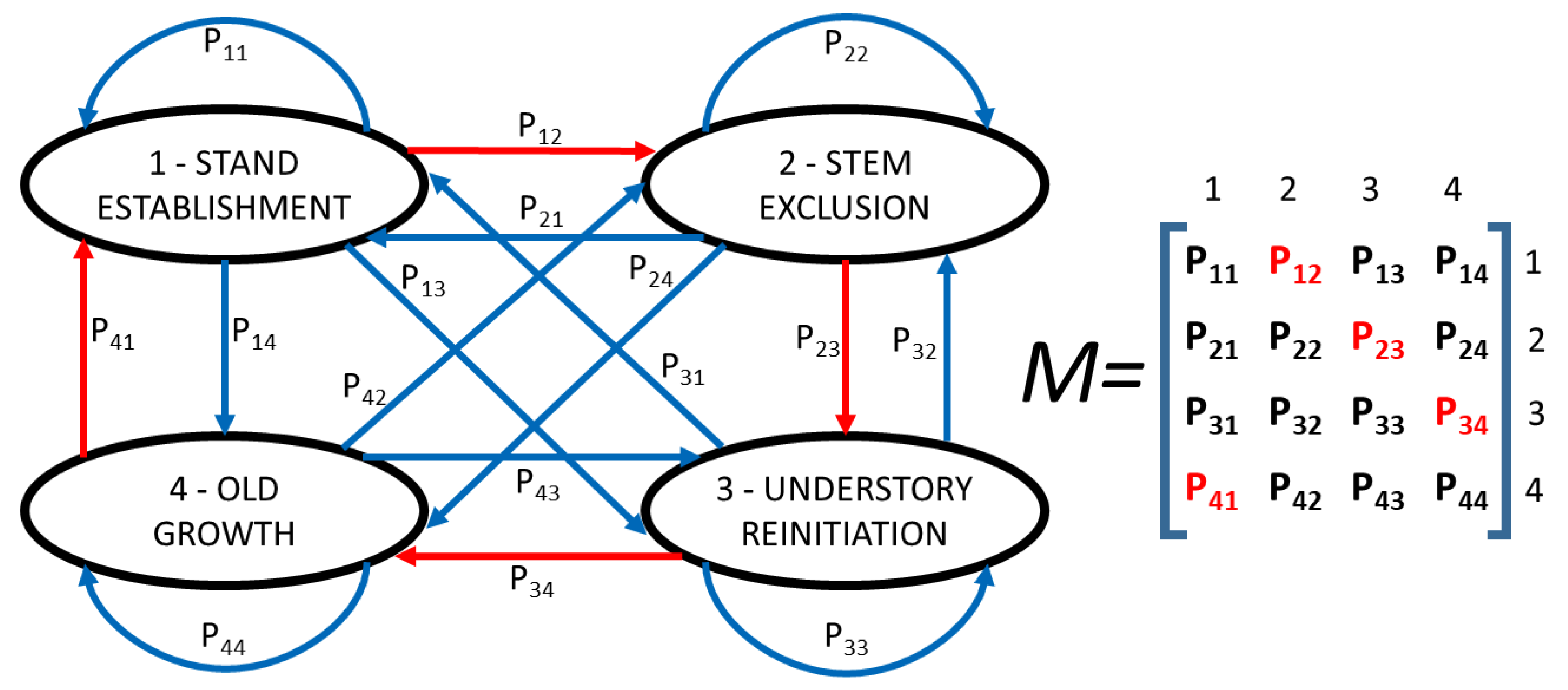 Forests 12 01770 g001