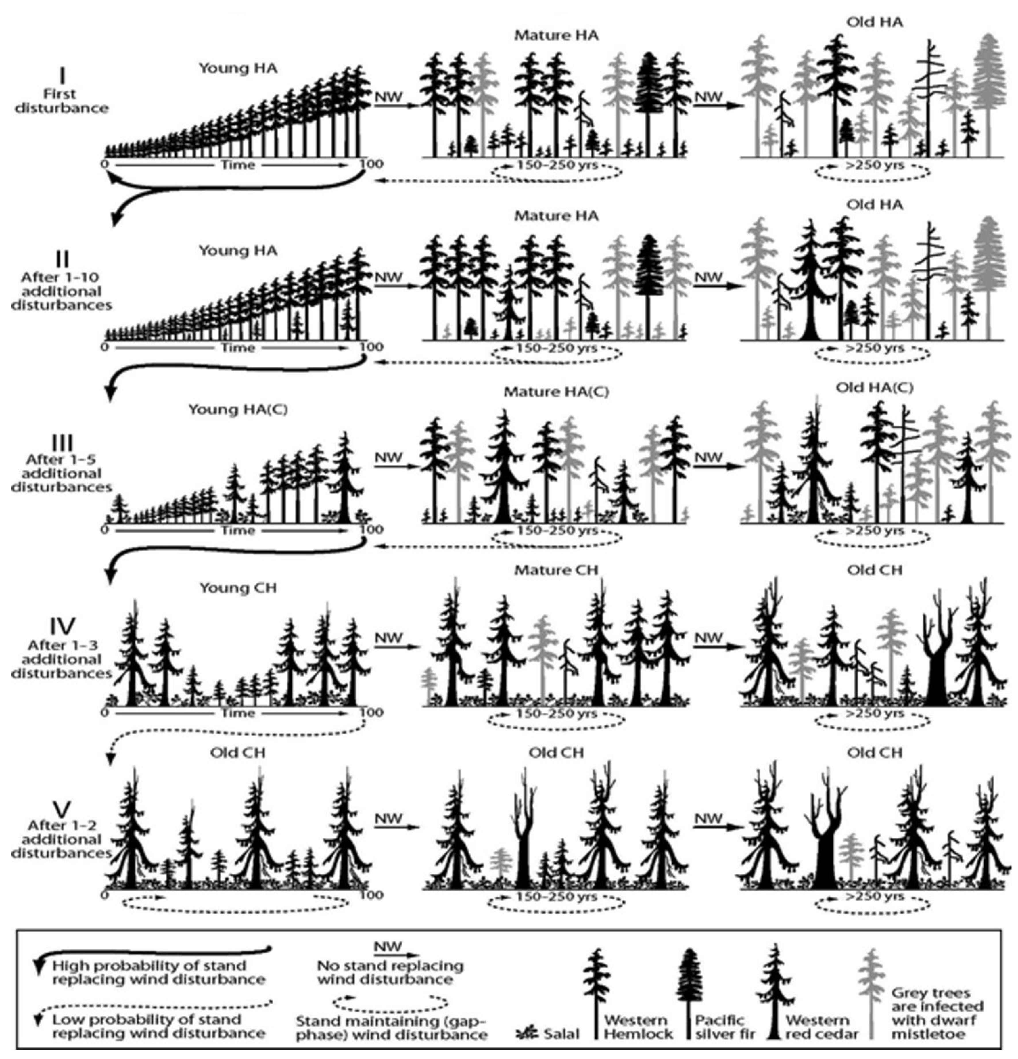 Forests 12 01770 g004